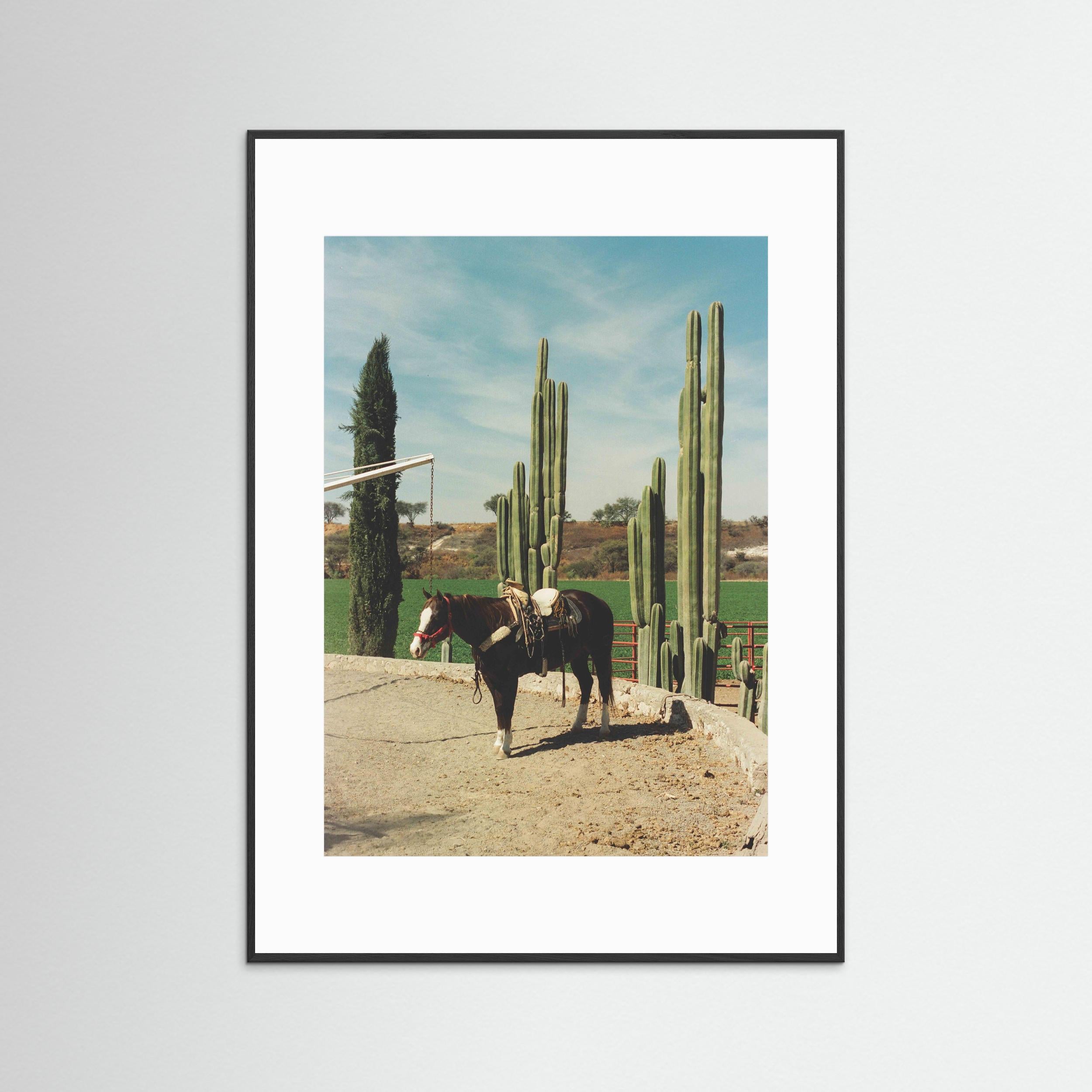 Rancho El Soyate