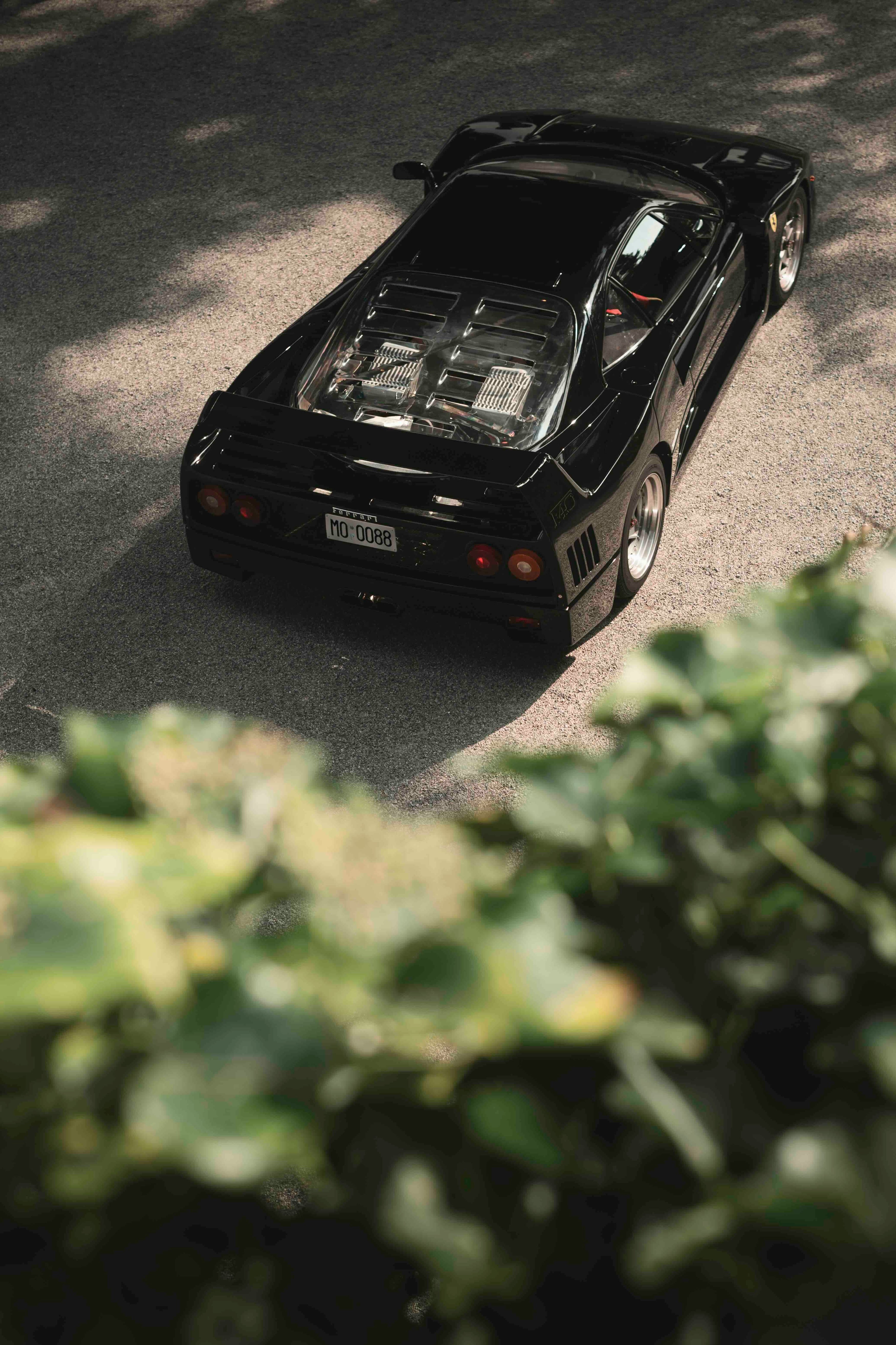 Black Queen - Wall of Venus