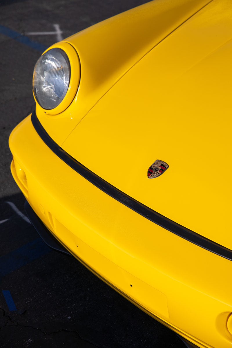 Day Dream - Wall of Venus