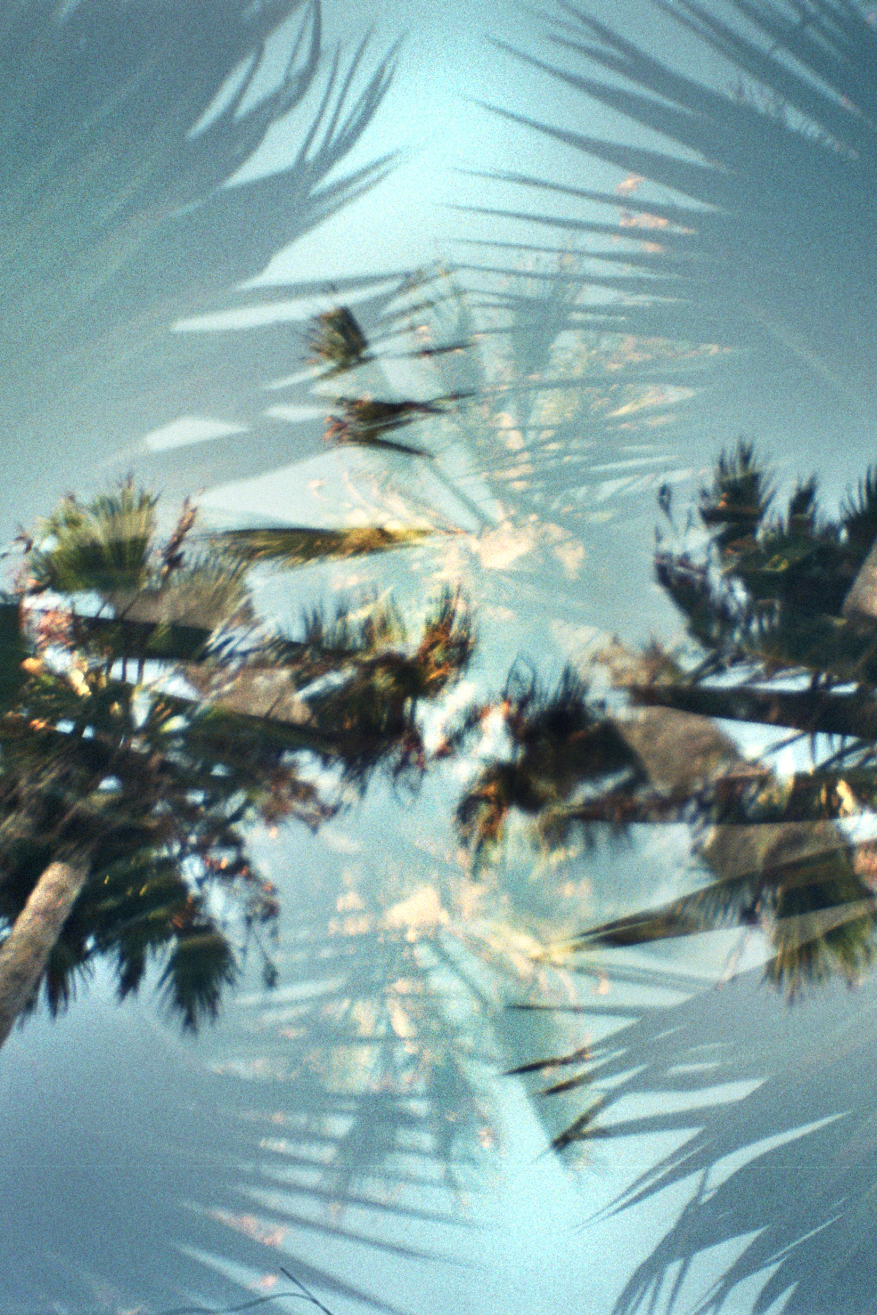 Helicopter - Wall of Venus