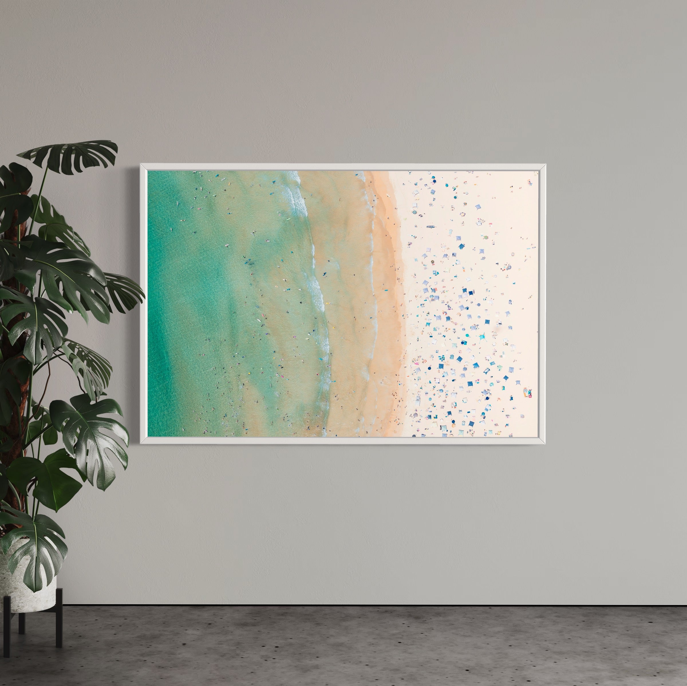 Freshwater Beach - Wall of Venus