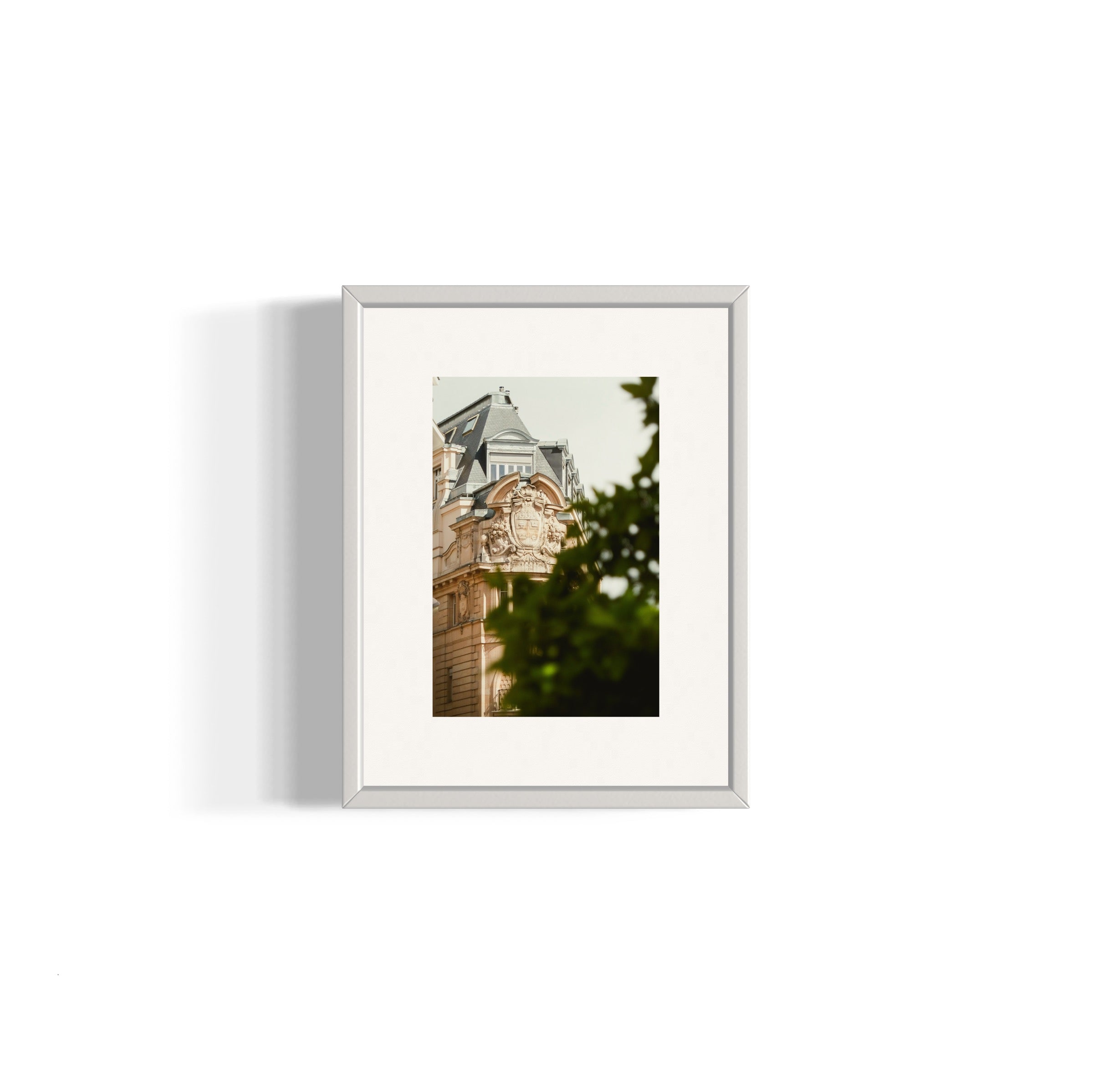 Parisian Blason - Wall of Venus