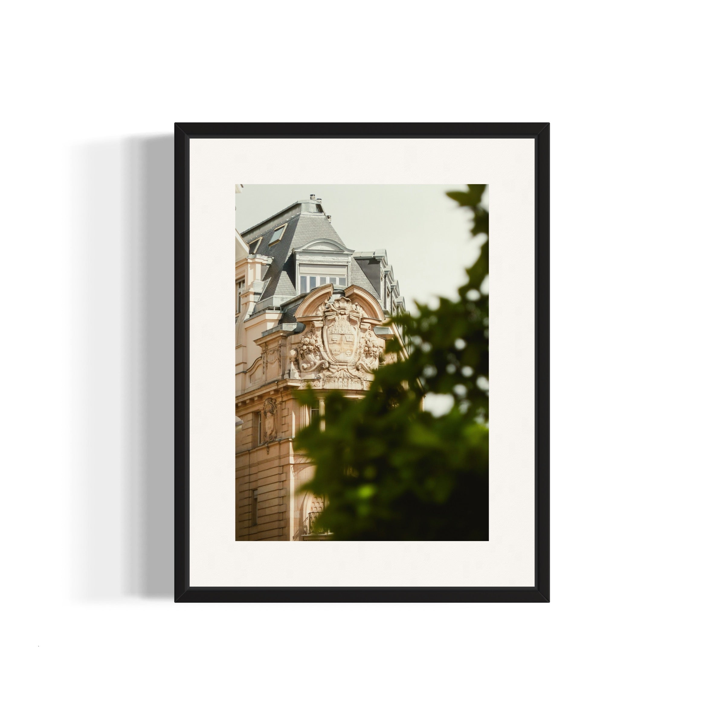 Parisian Blason - Wall of Venus