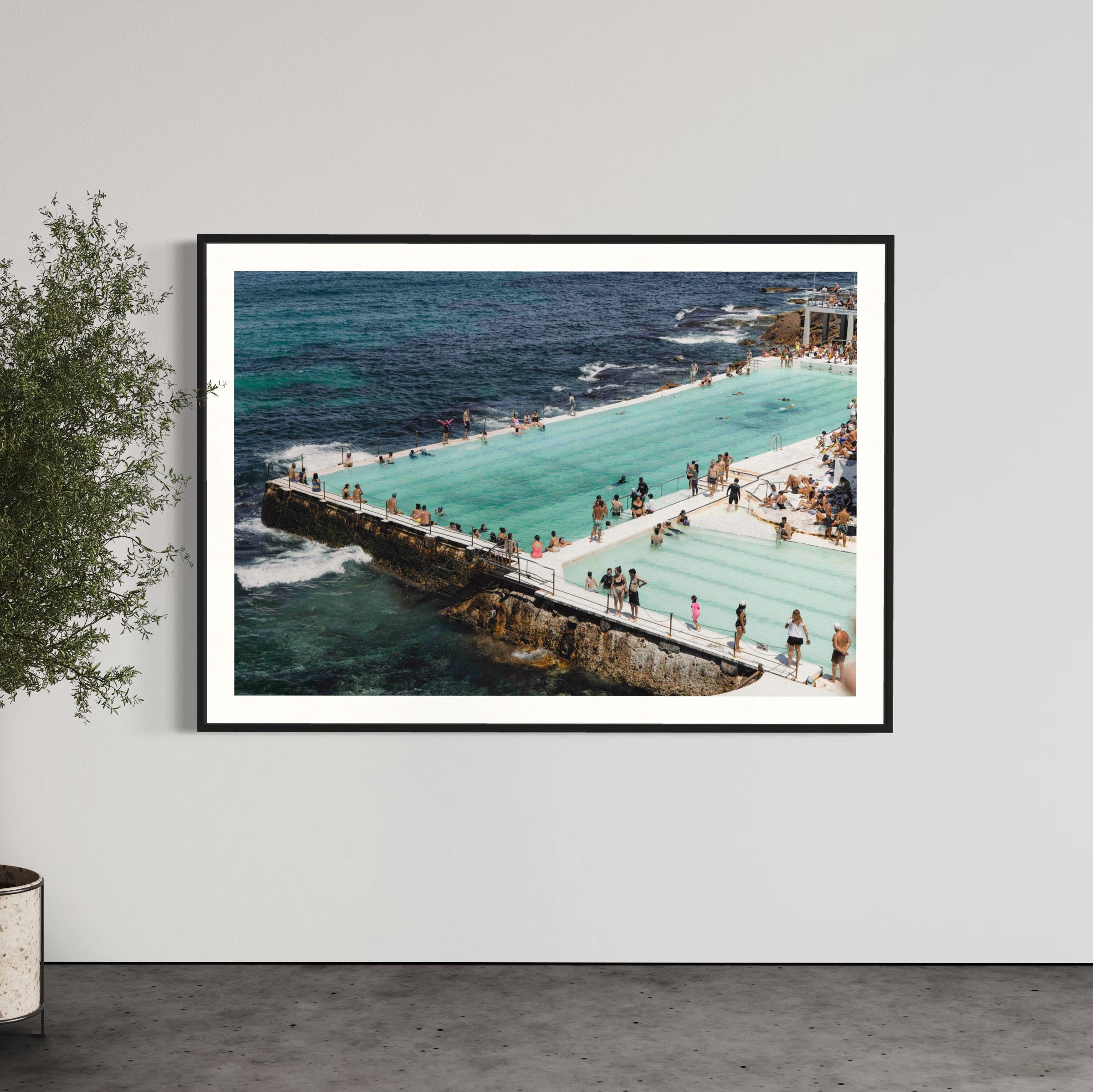 The Burgs - Wall of Venus