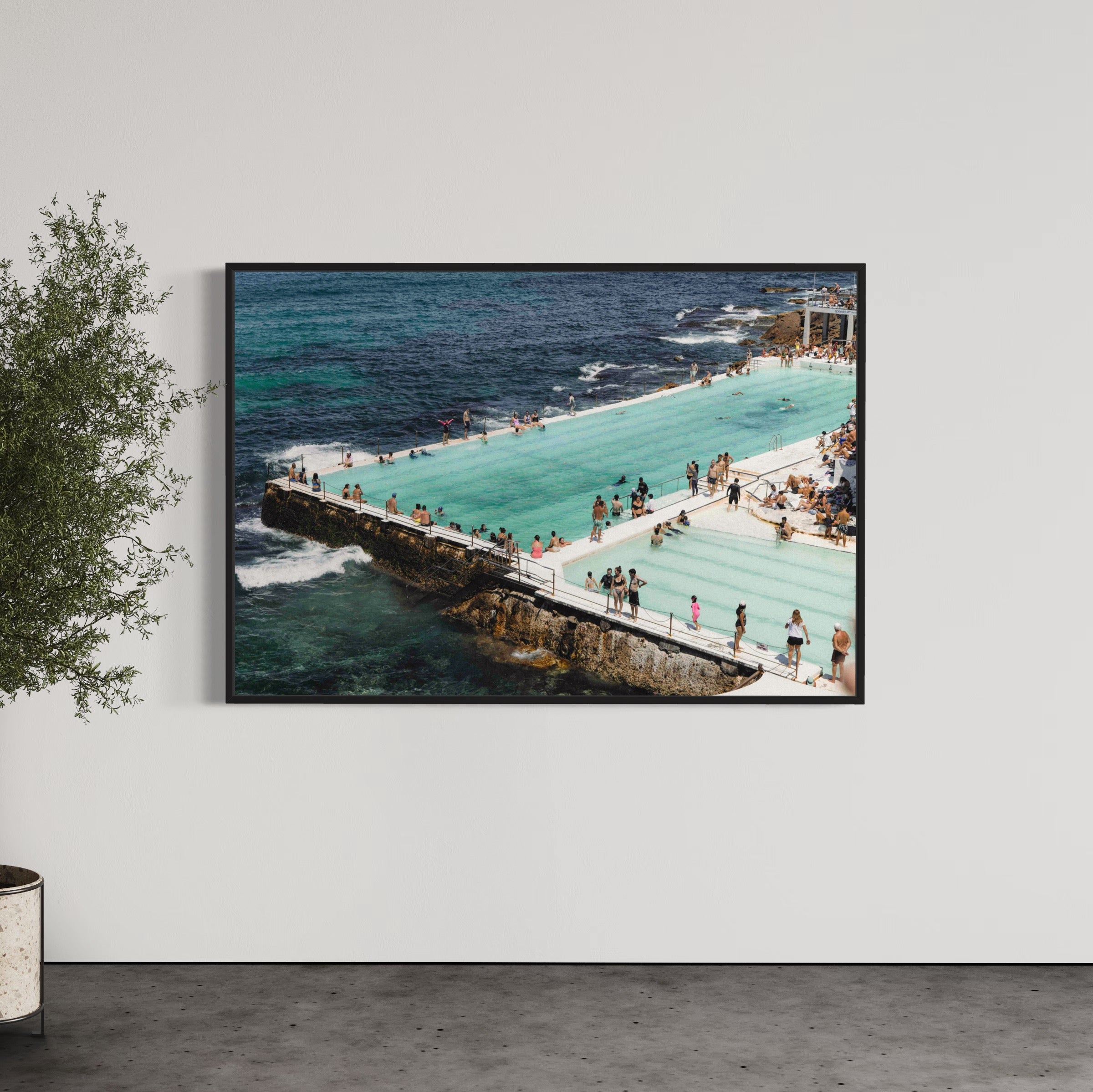 The Burgs - Wall of Venus