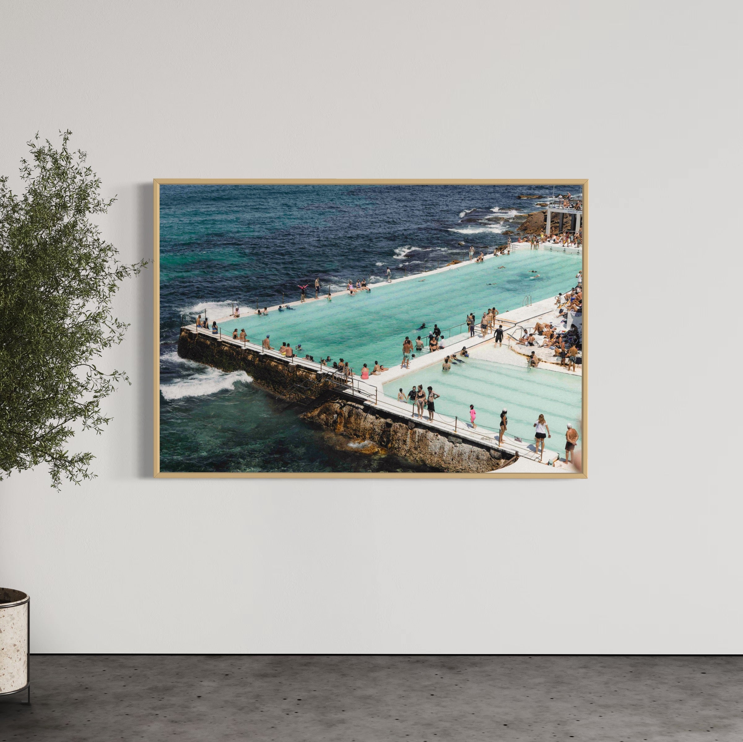 The Burgs - Wall of Venus