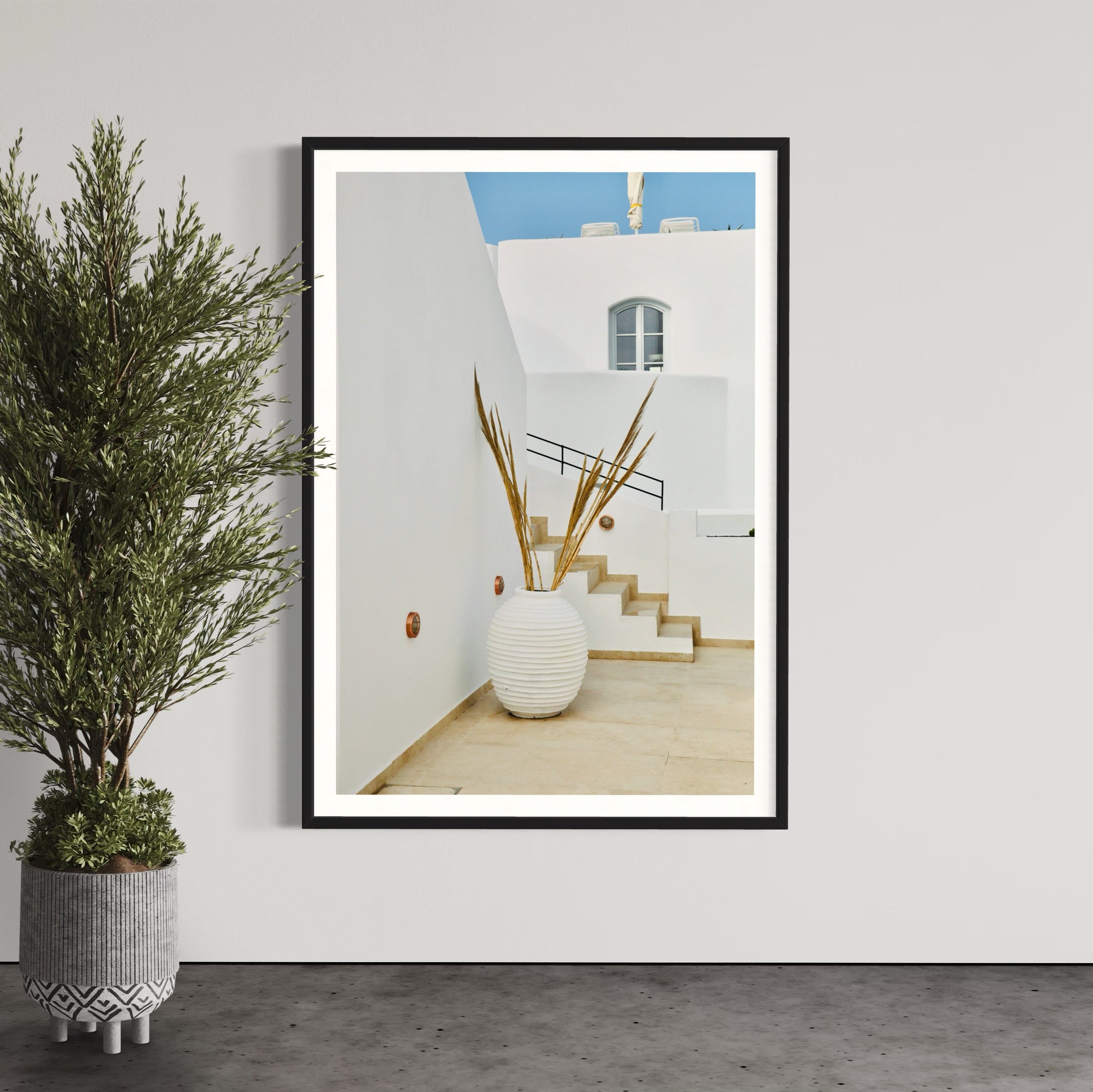 Oia Still Life - Wall of Venus