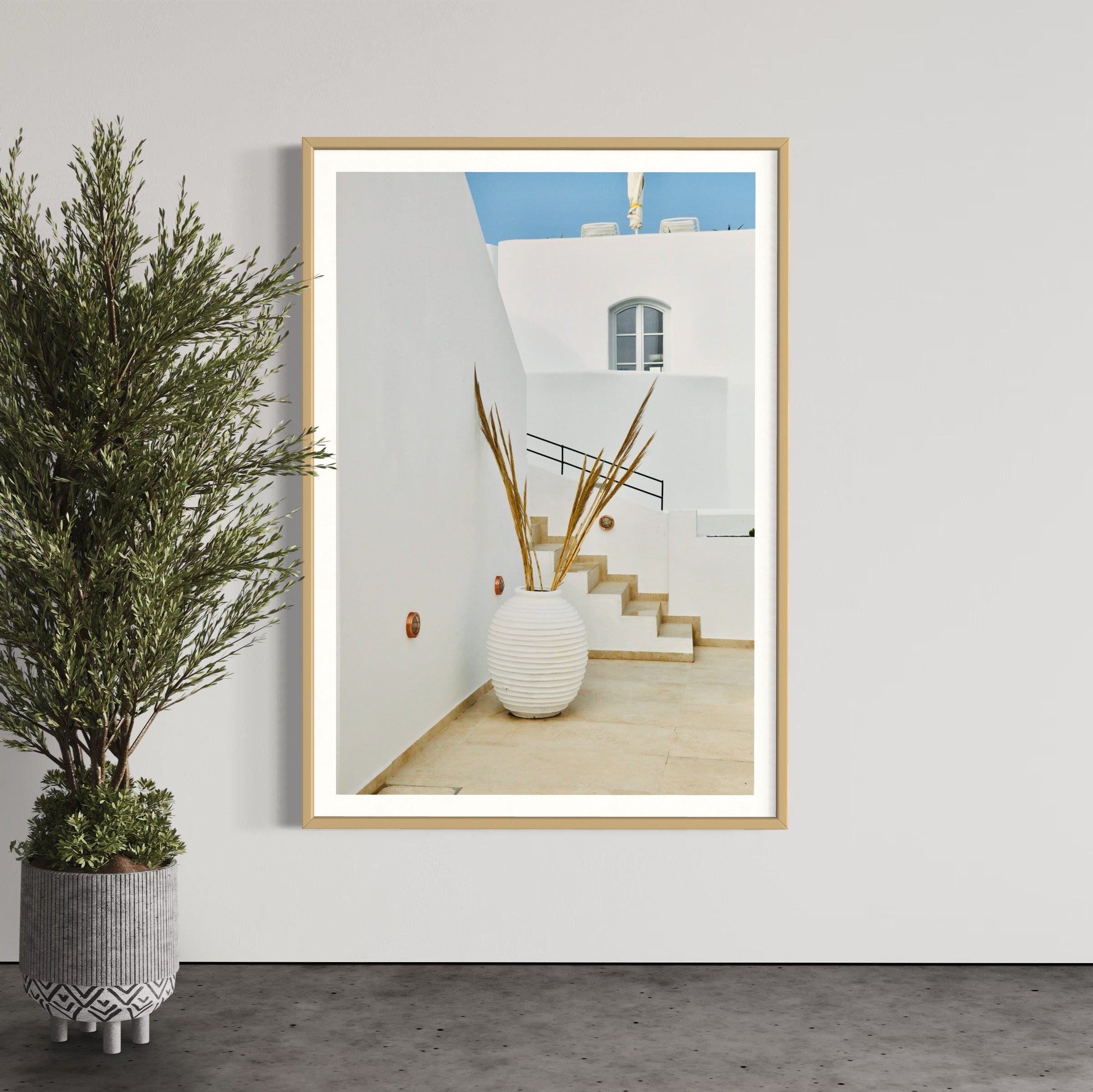 Oia Still Life - Wall of Venus