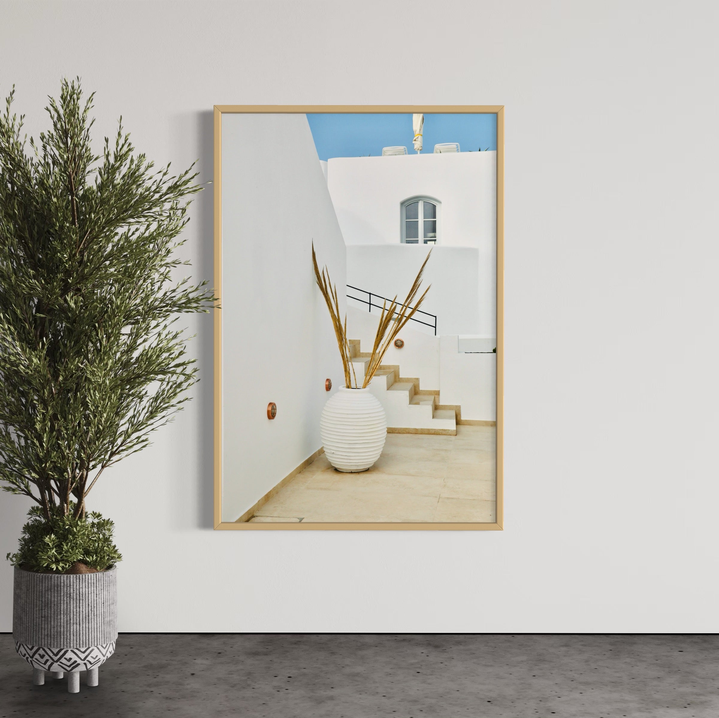 Oia Still Life - Wall of Venus