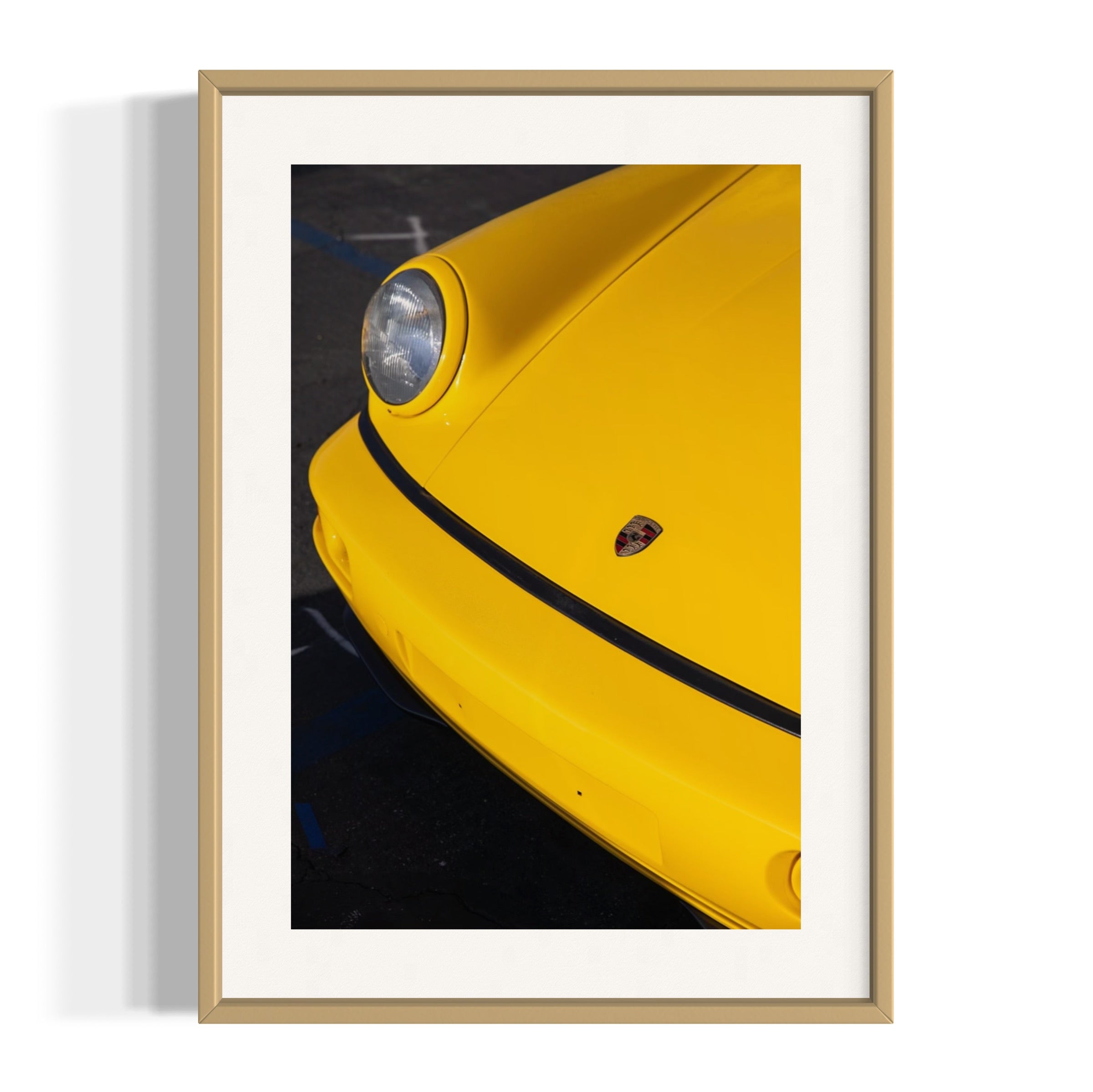 Day Dream - Wall of Venus