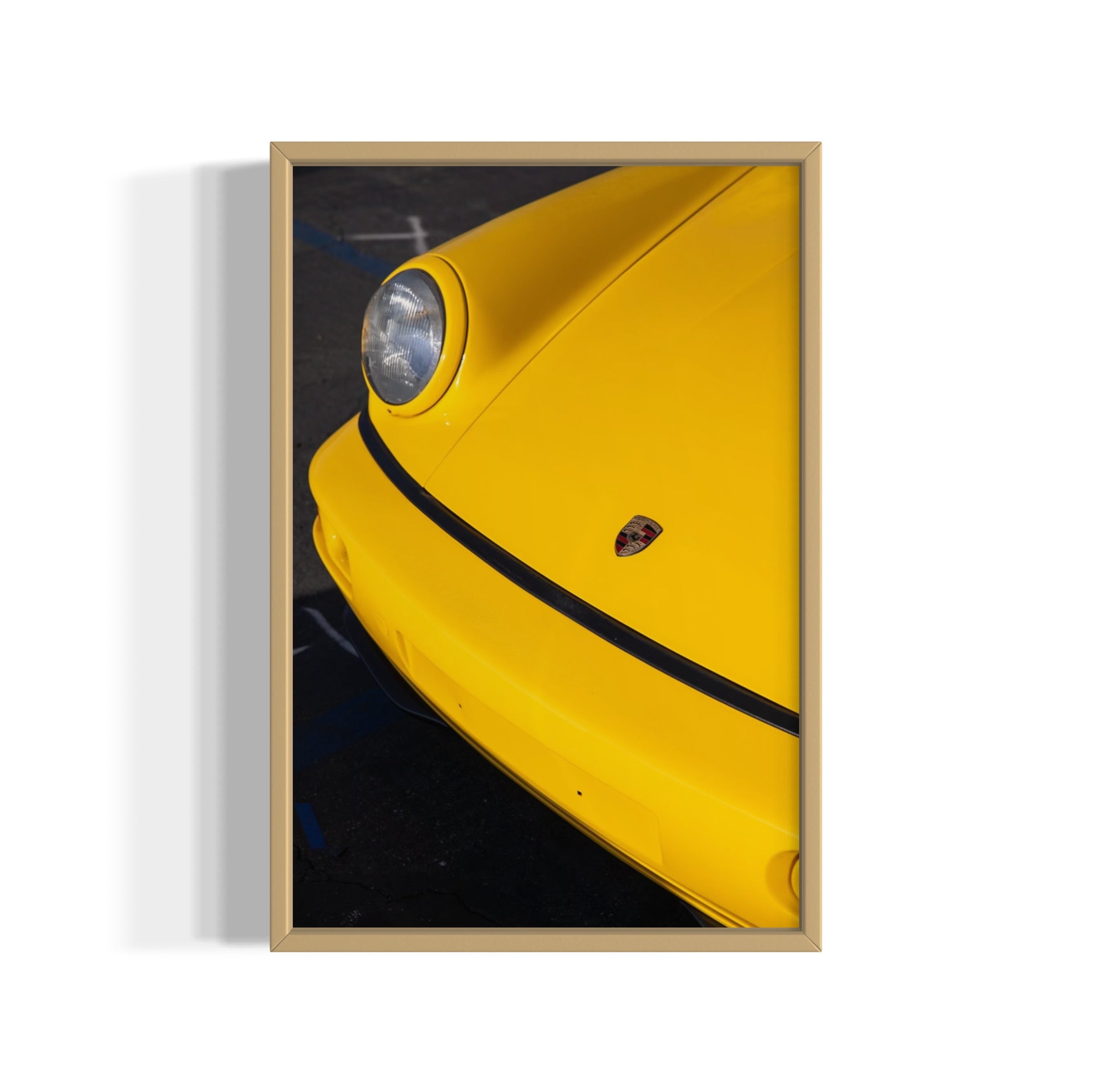 Day Dream - Wall of Venus