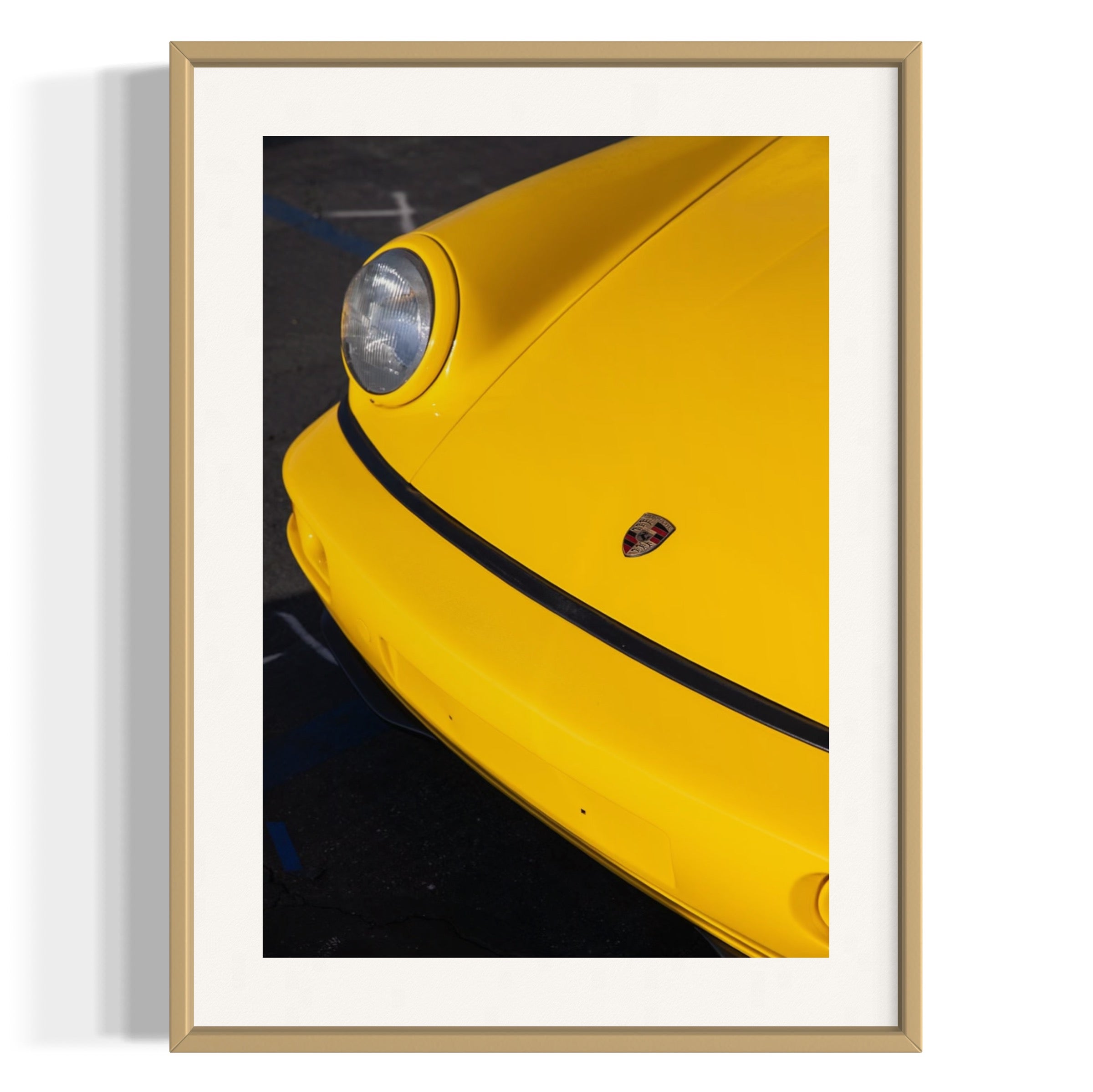 Day Dream - Wall of Venus