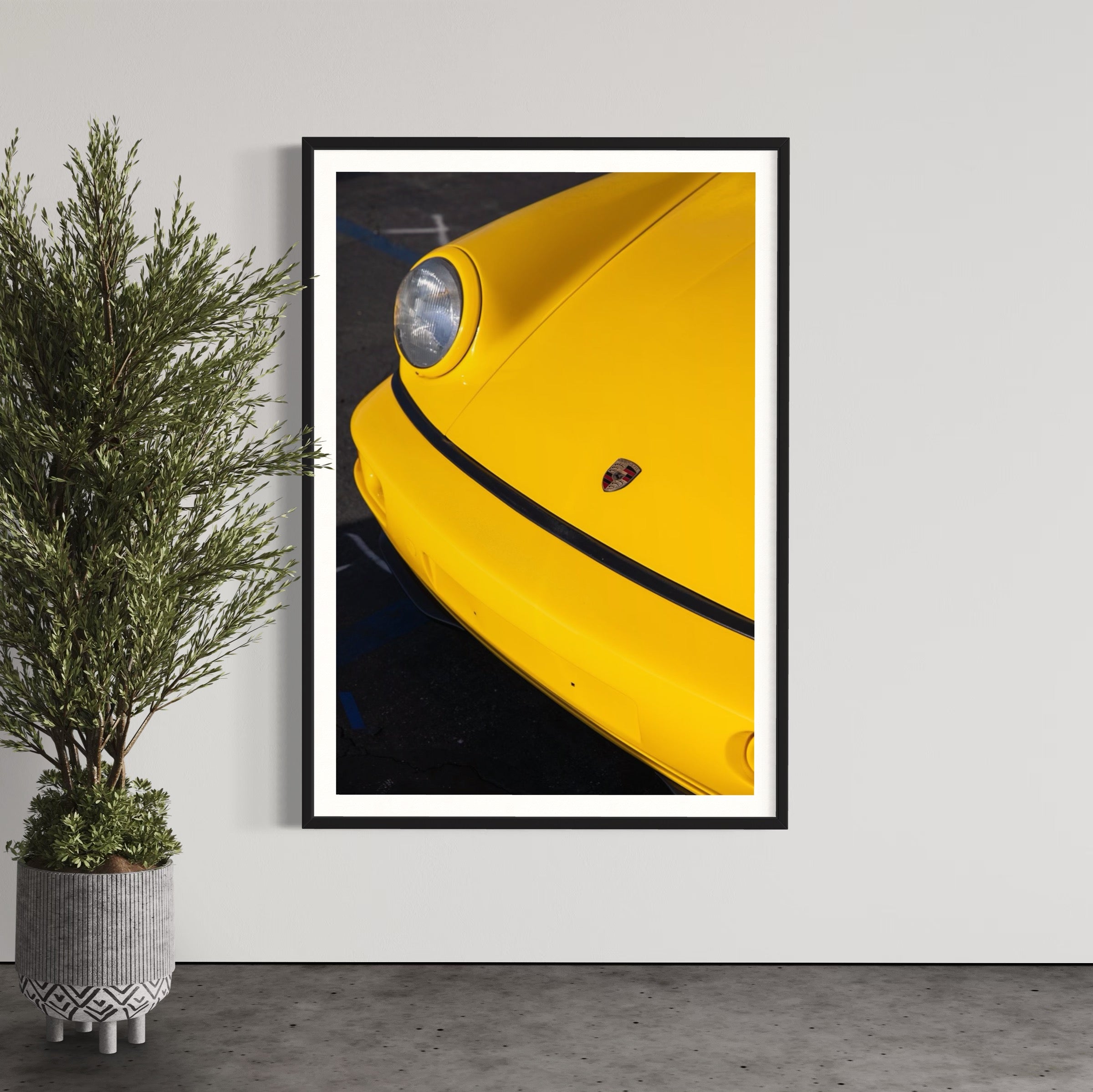 Day Dream - Wall of Venus