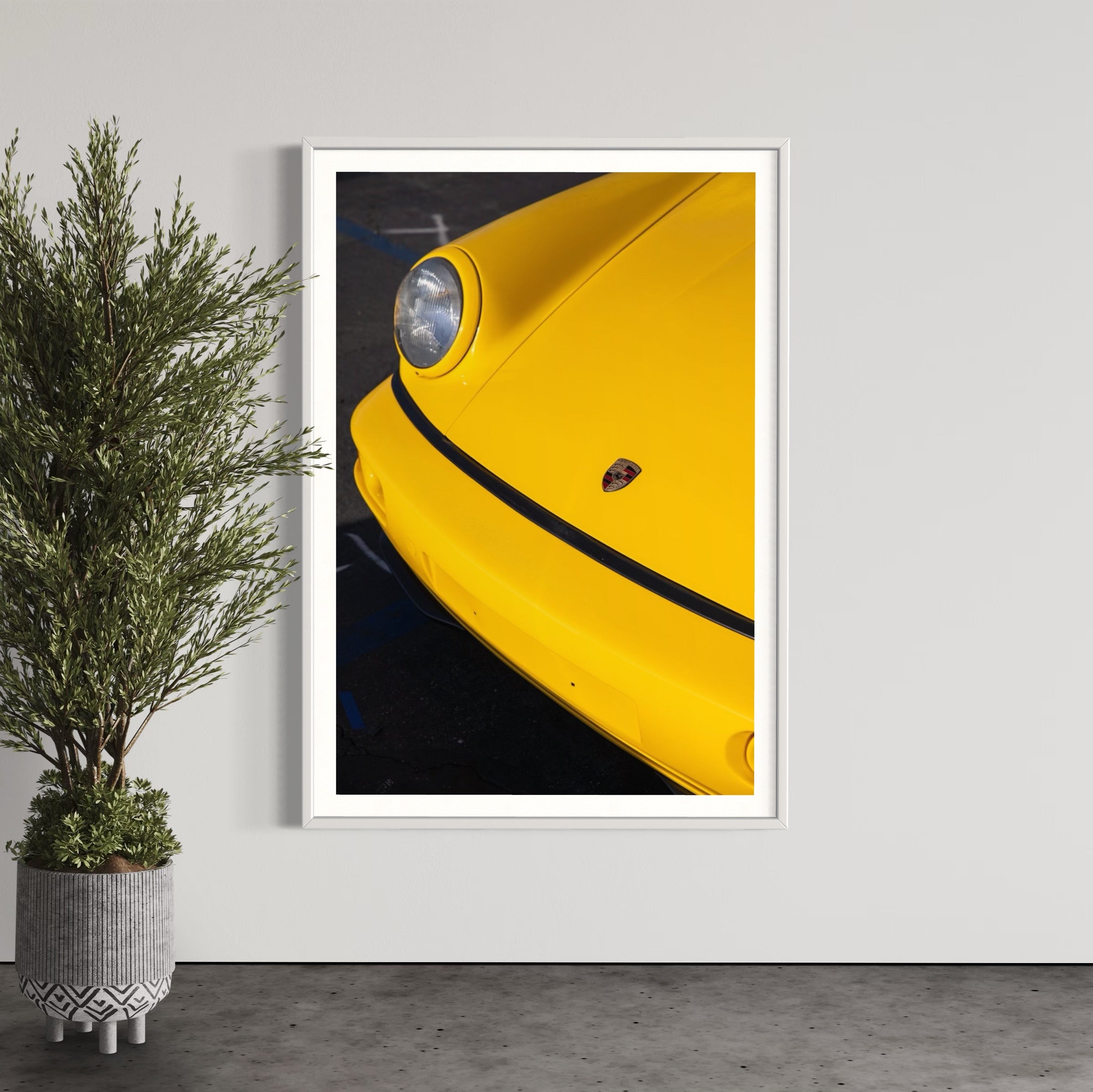 Day Dream - Wall of Venus