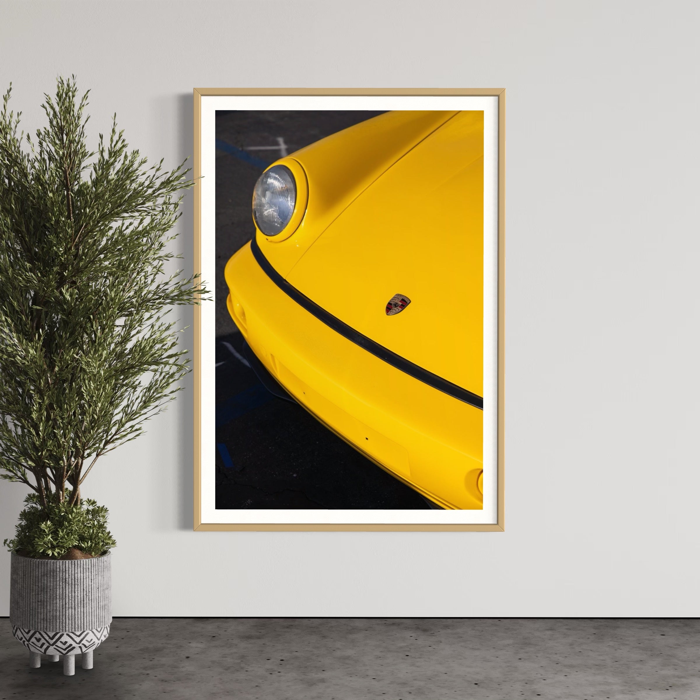 Day Dream - Wall of Venus