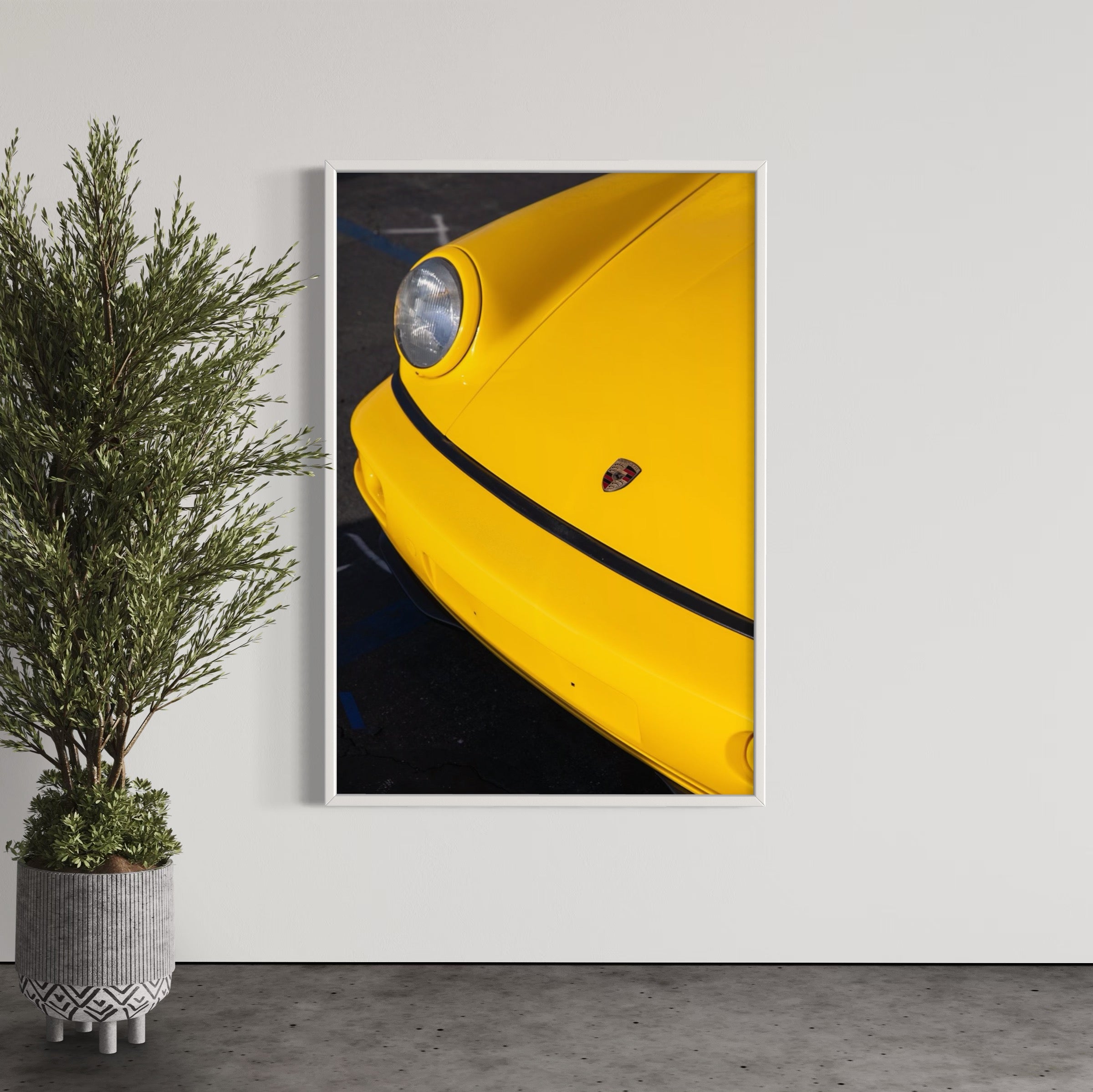 Day Dream - Wall of Venus