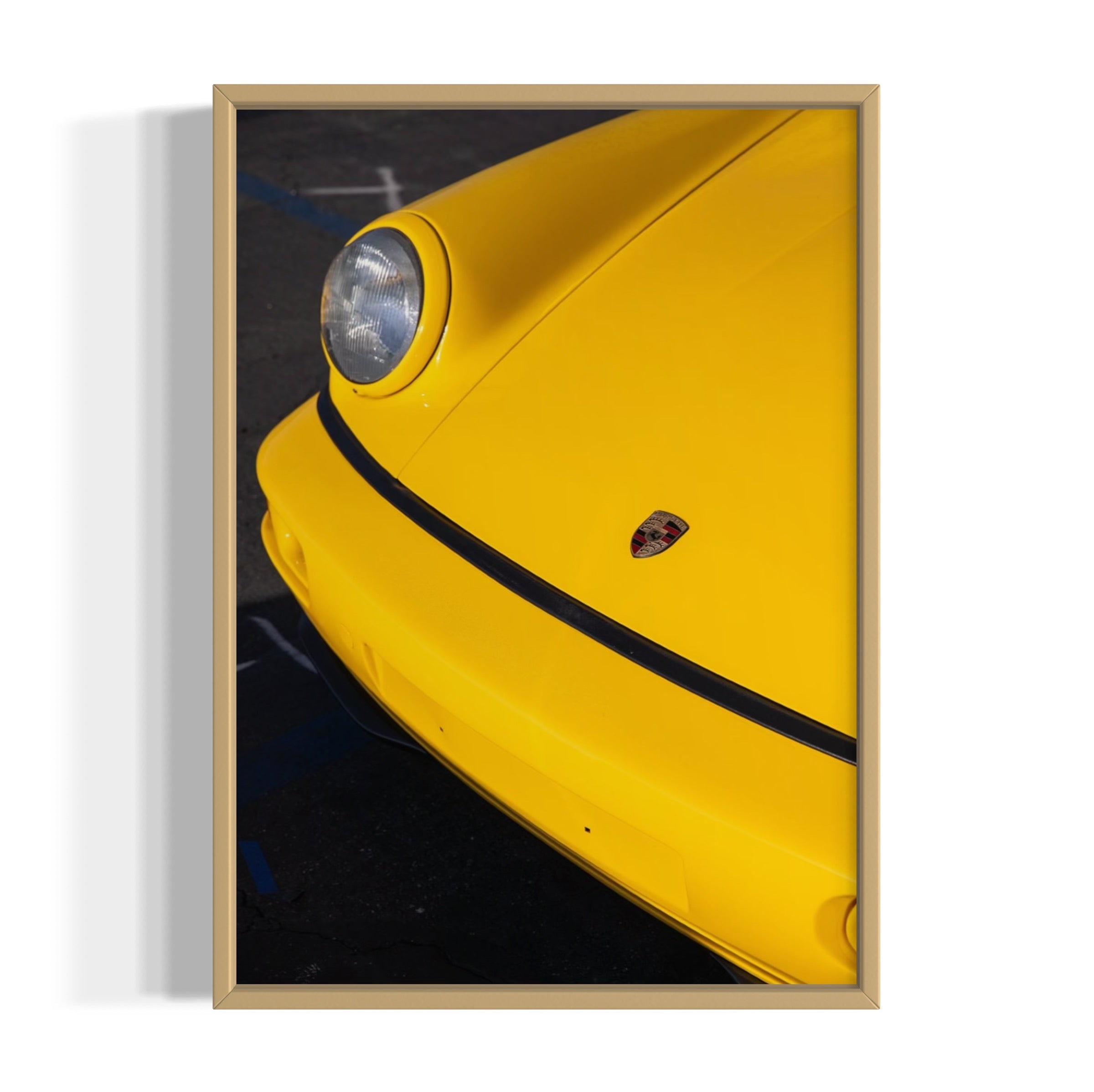 Day Dream - Wall of Venus