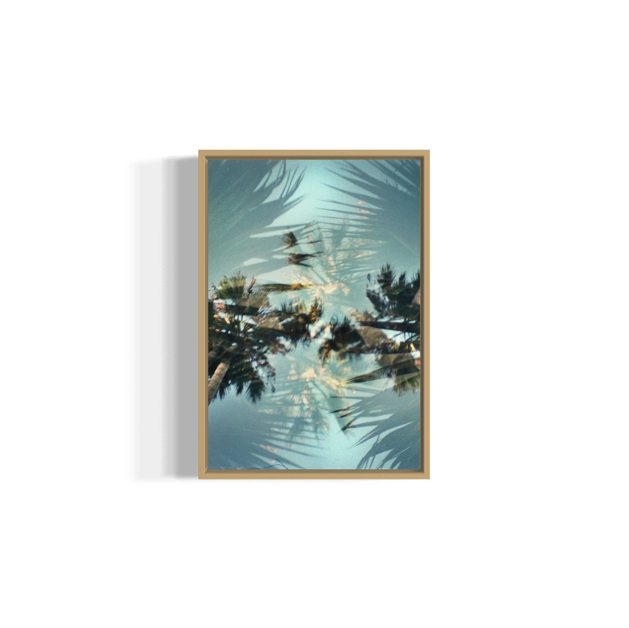 Helicopter - Wall of Venus