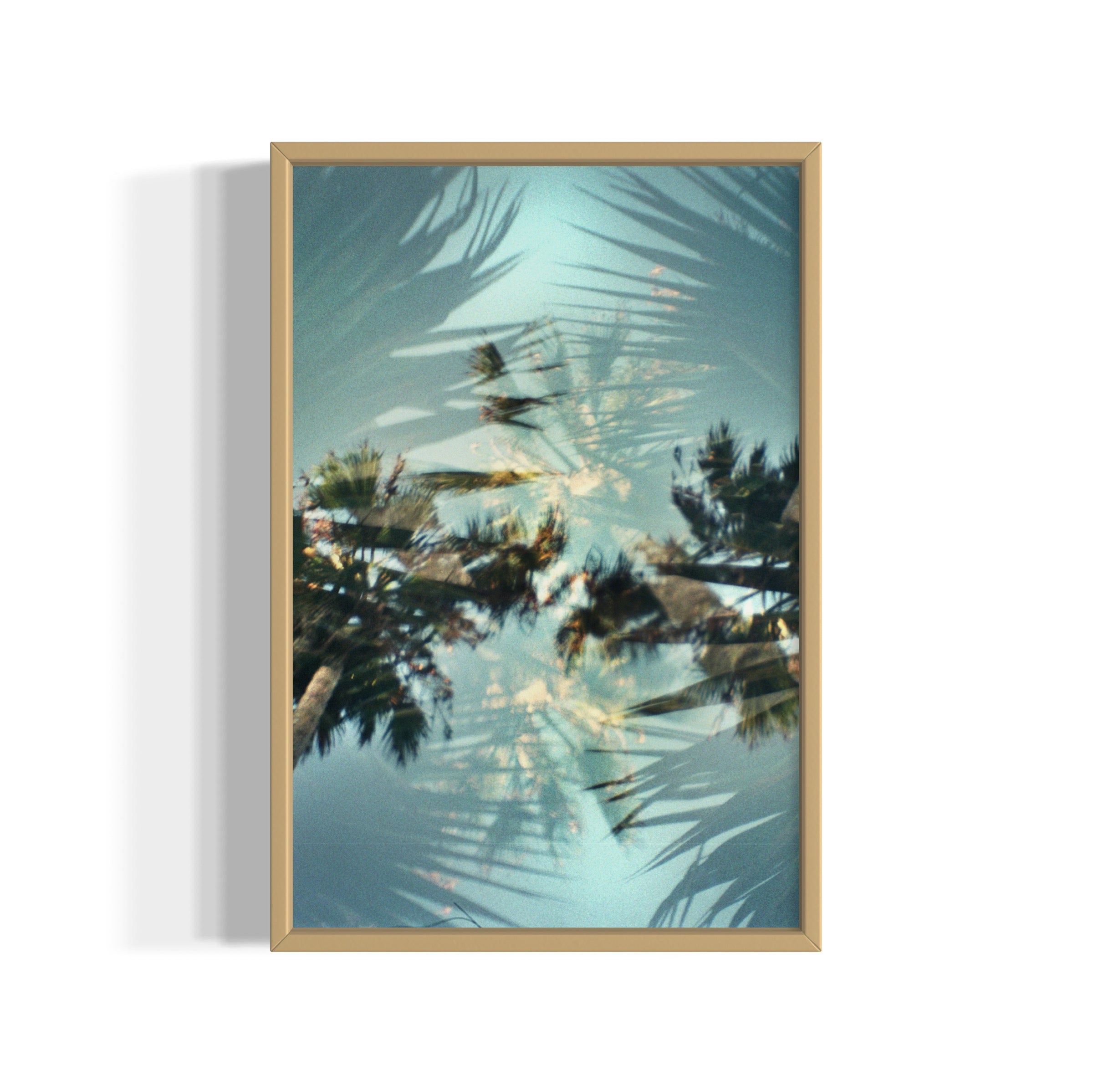 Helicopter - Wall of Venus