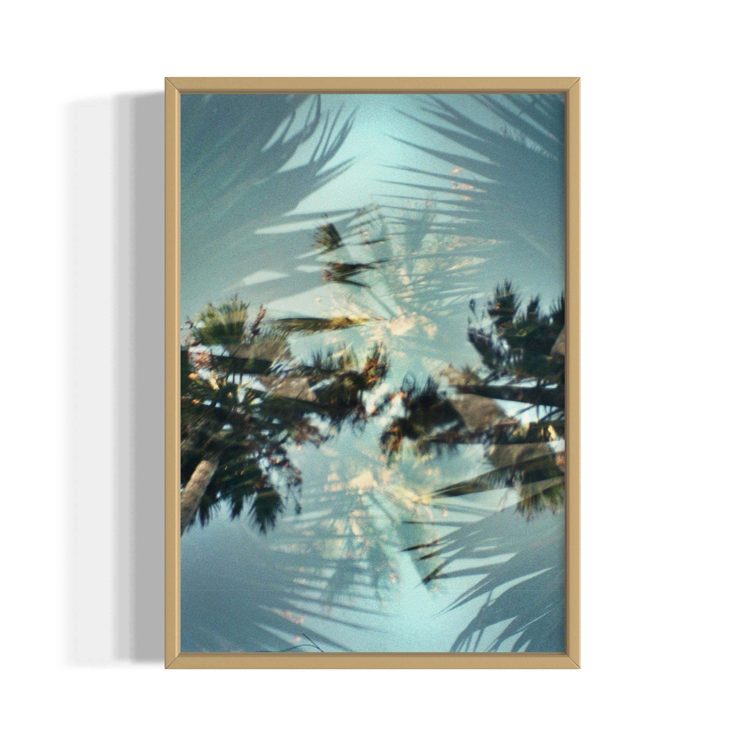 Helicopter - Wall of Venus