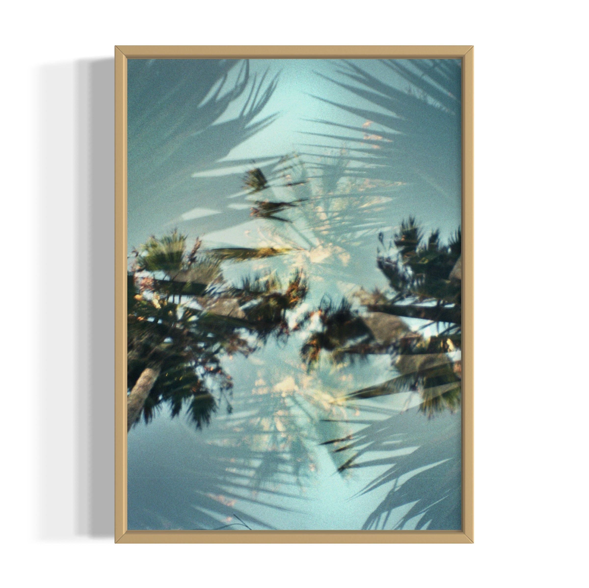 Helicopter - Wall of Venus