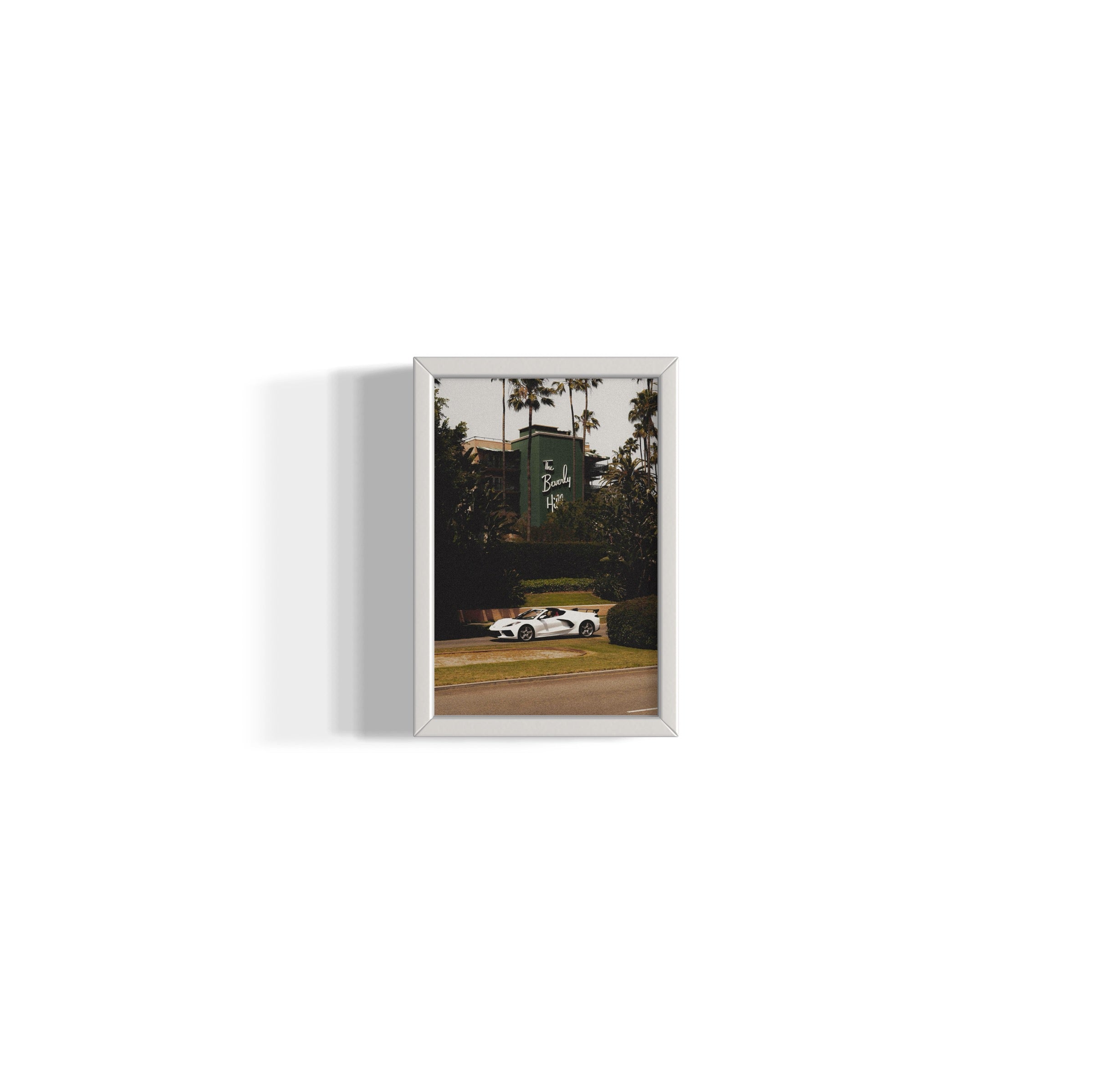 The Beverly Hills - Wall of Venus