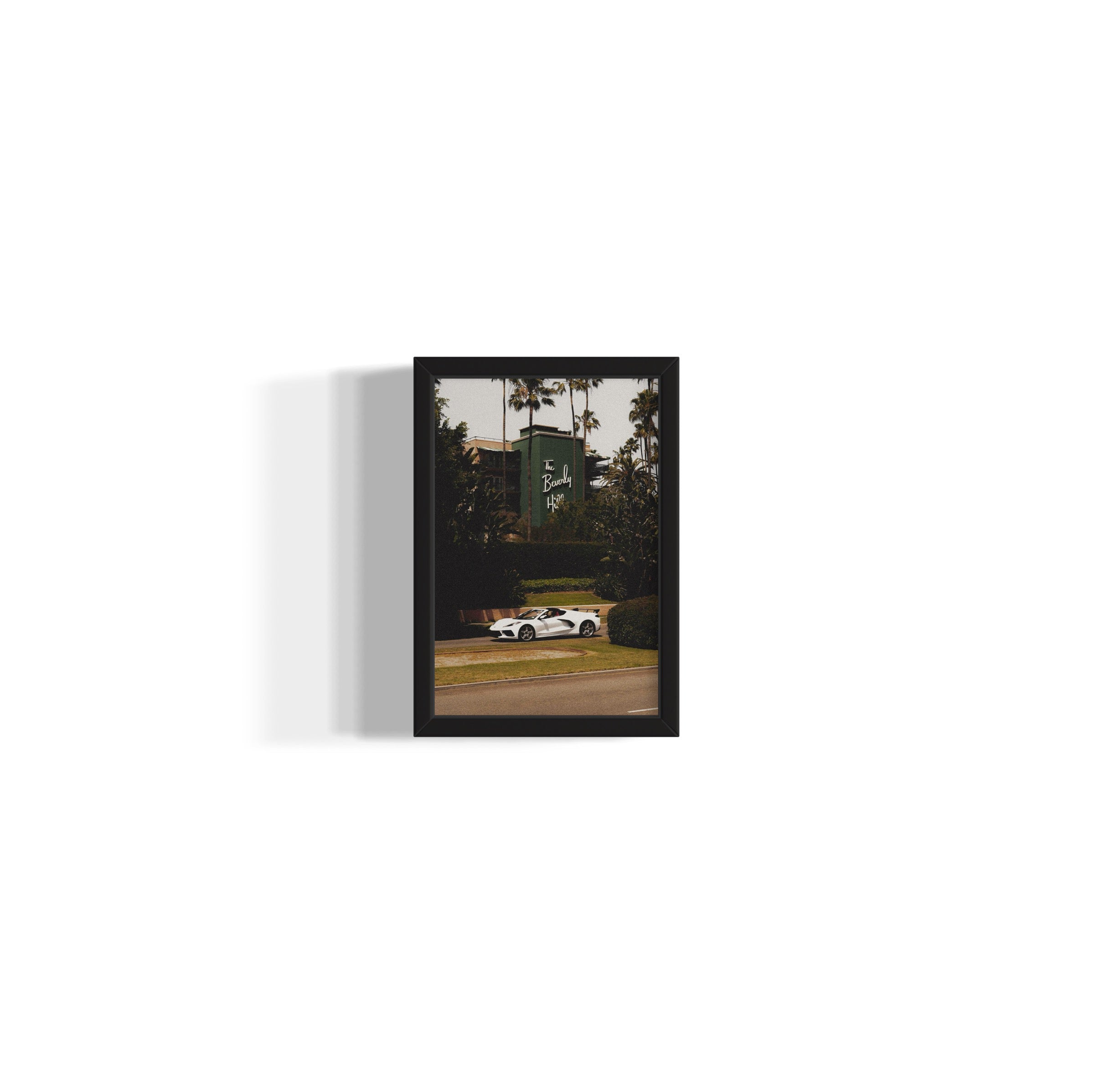 The Beverly Hills - Wall of Venus
