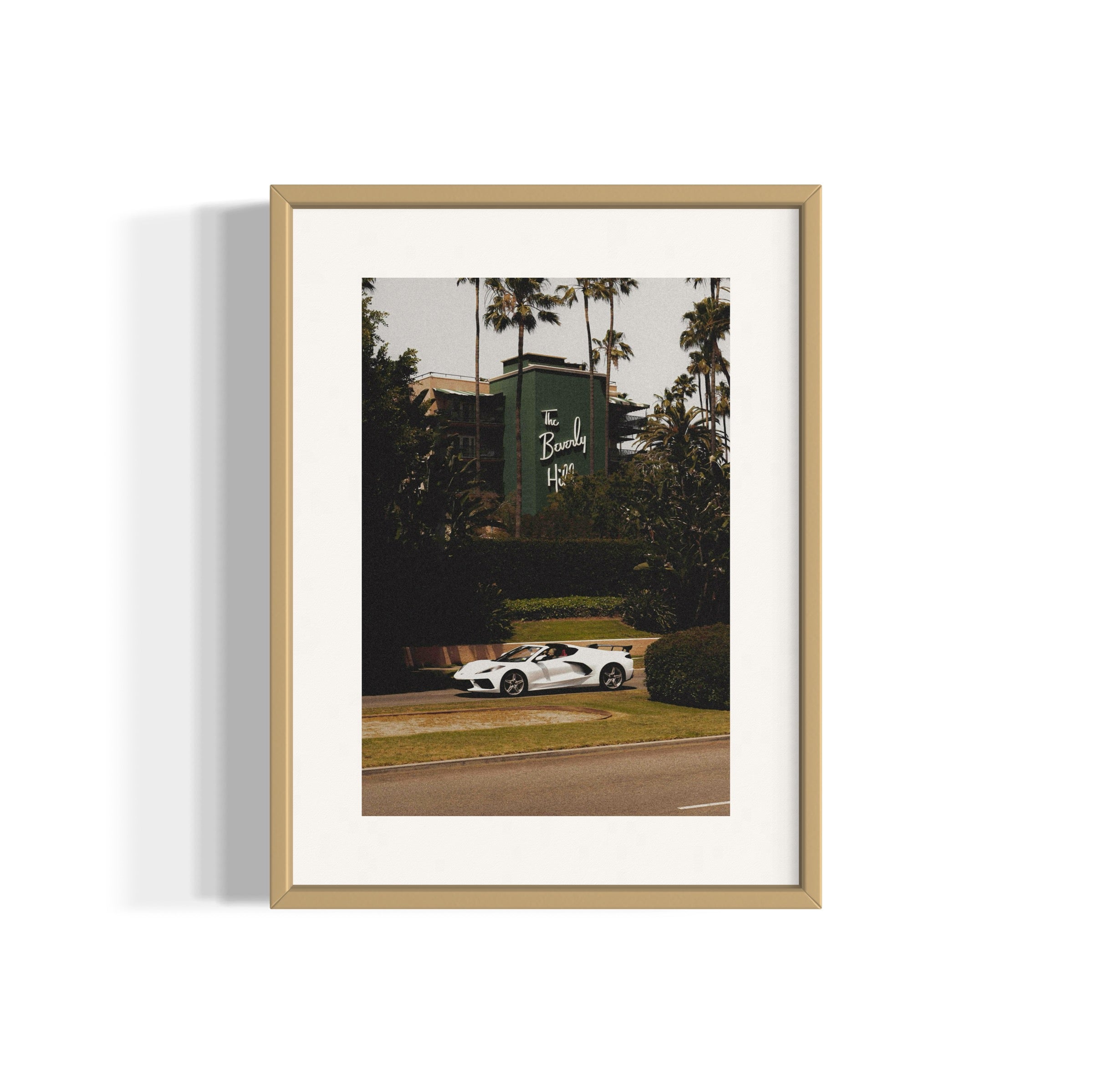 The Beverly Hills - Wall of Venus