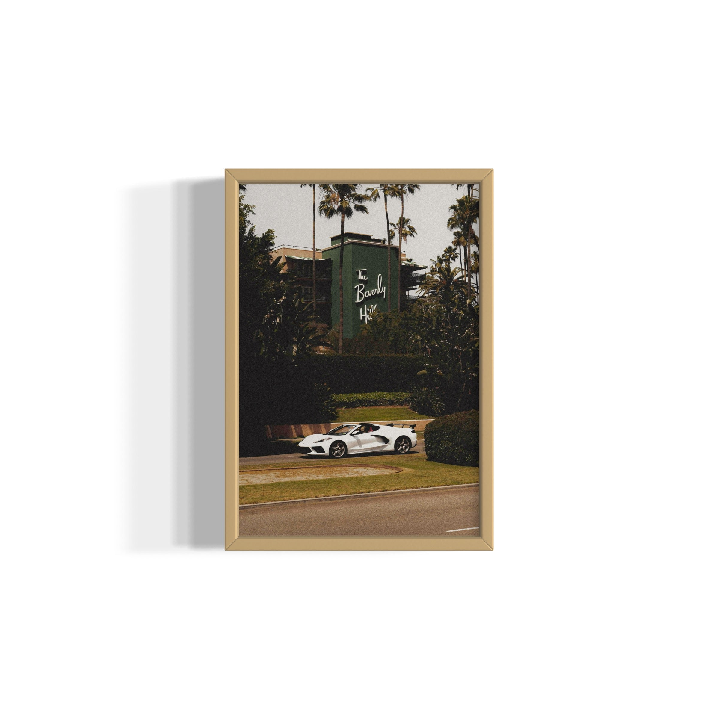 The Beverly Hills - Wall of Venus