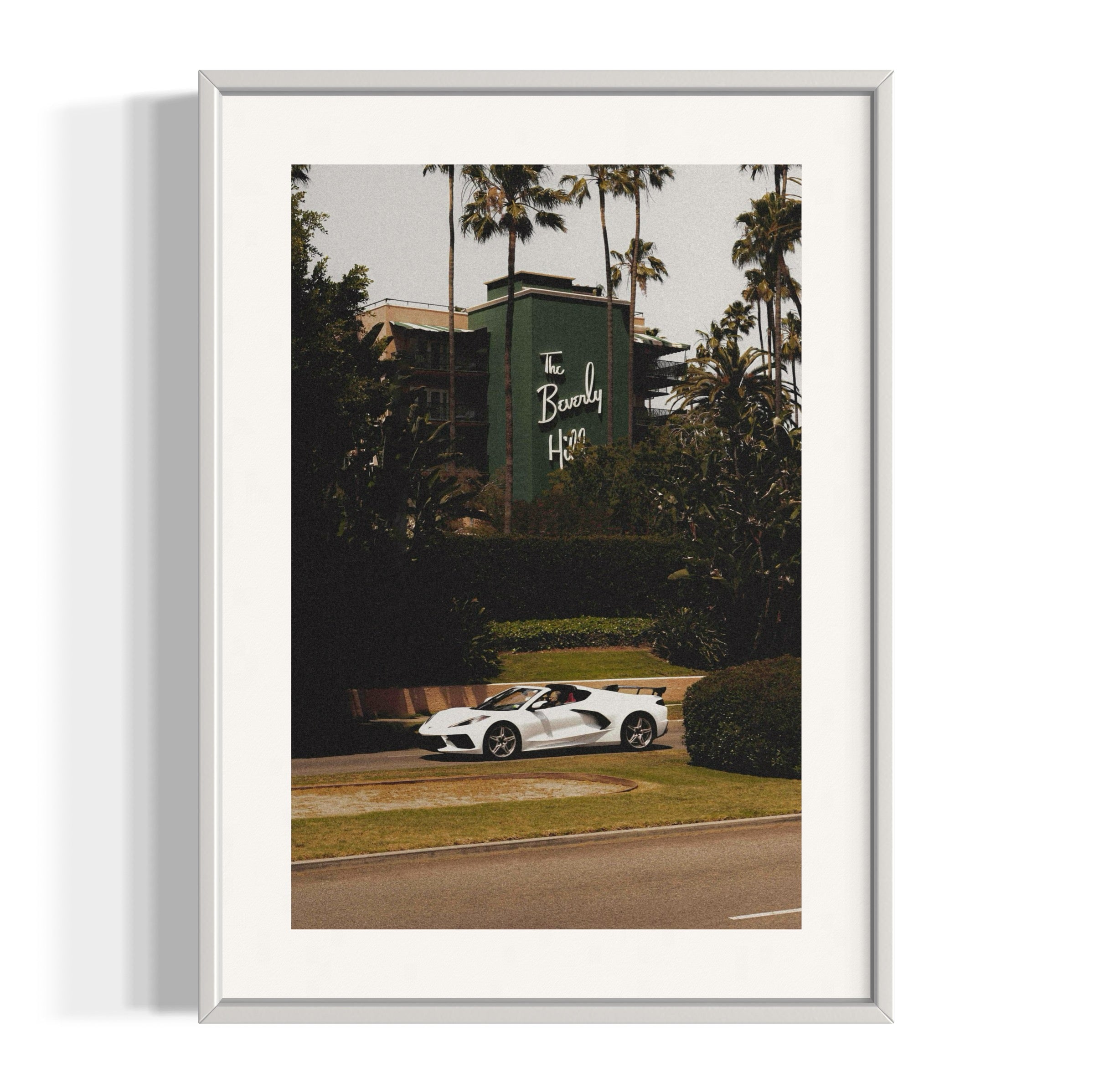 The Beverly Hills - Wall of Venus
