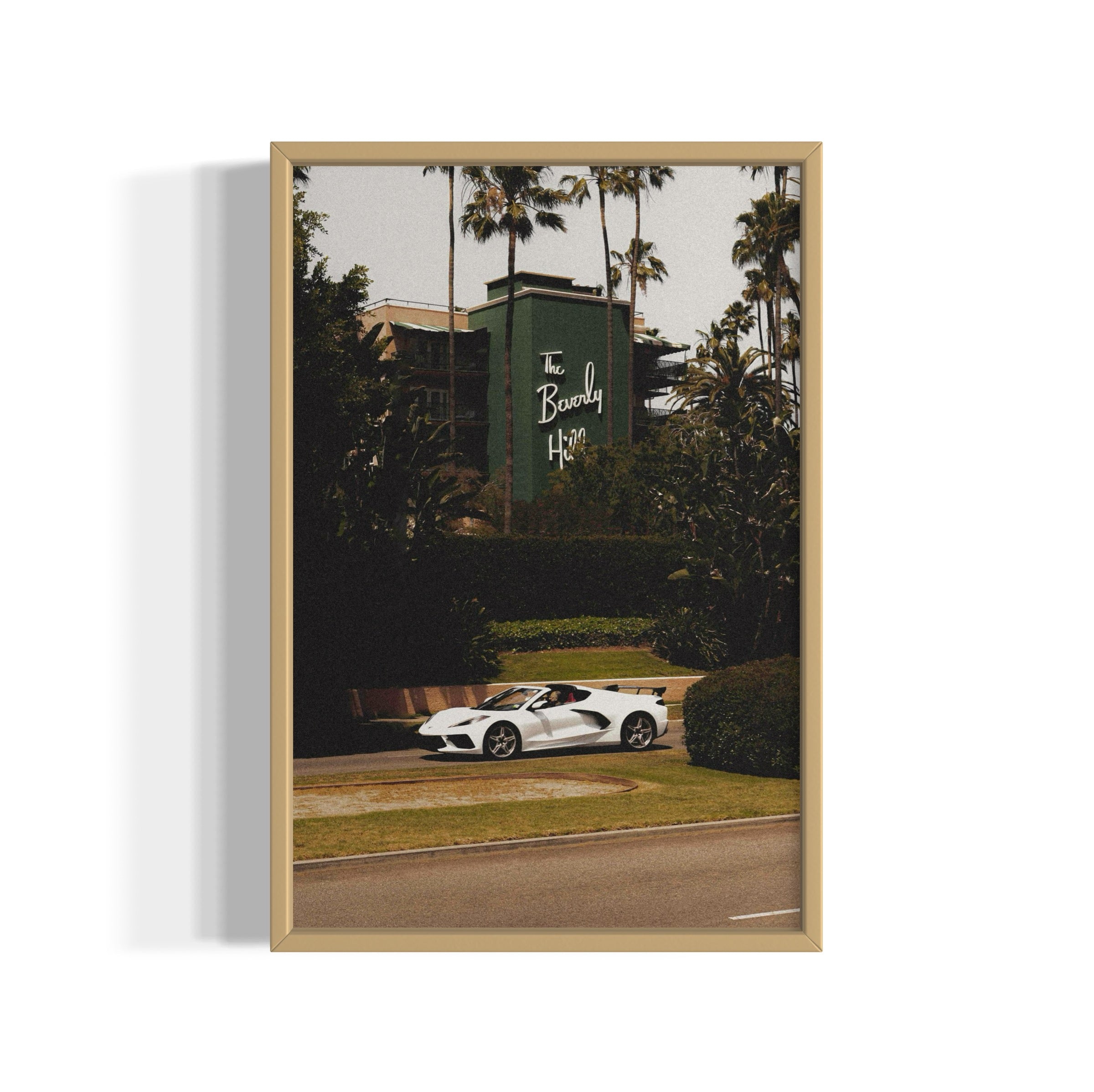 The Beverly Hills - Wall of Venus