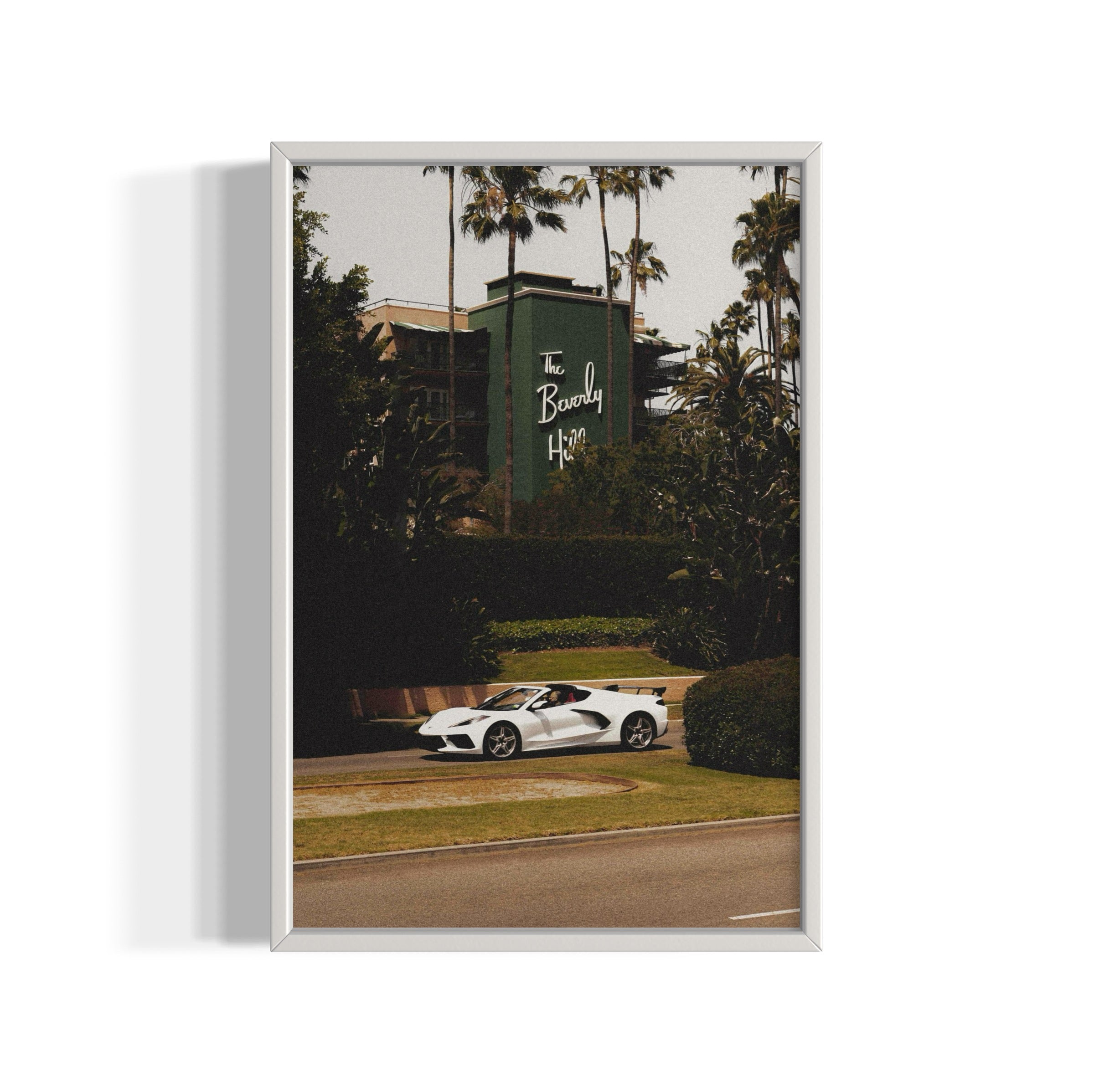 The Beverly Hills - Wall of Venus