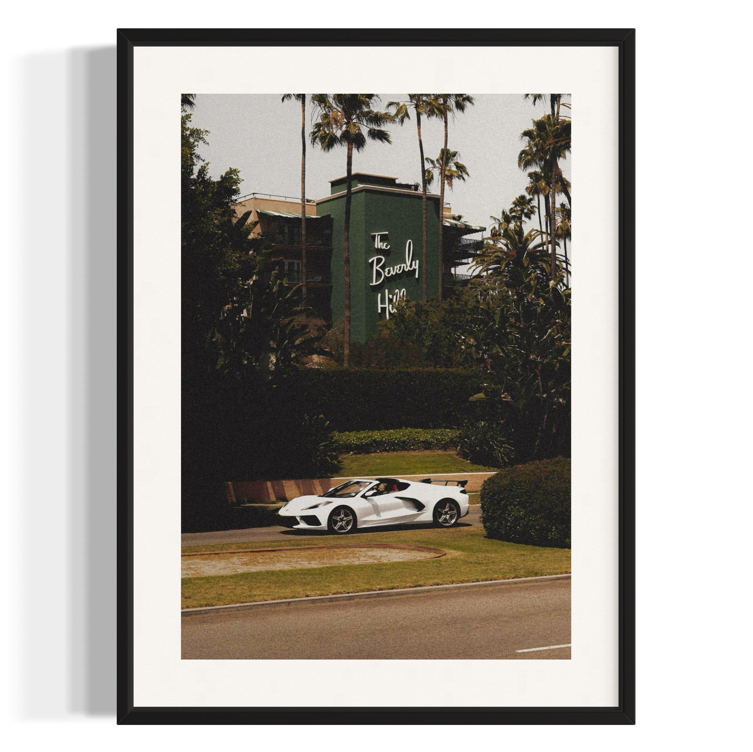 The Beverly Hills - Wall of Venus