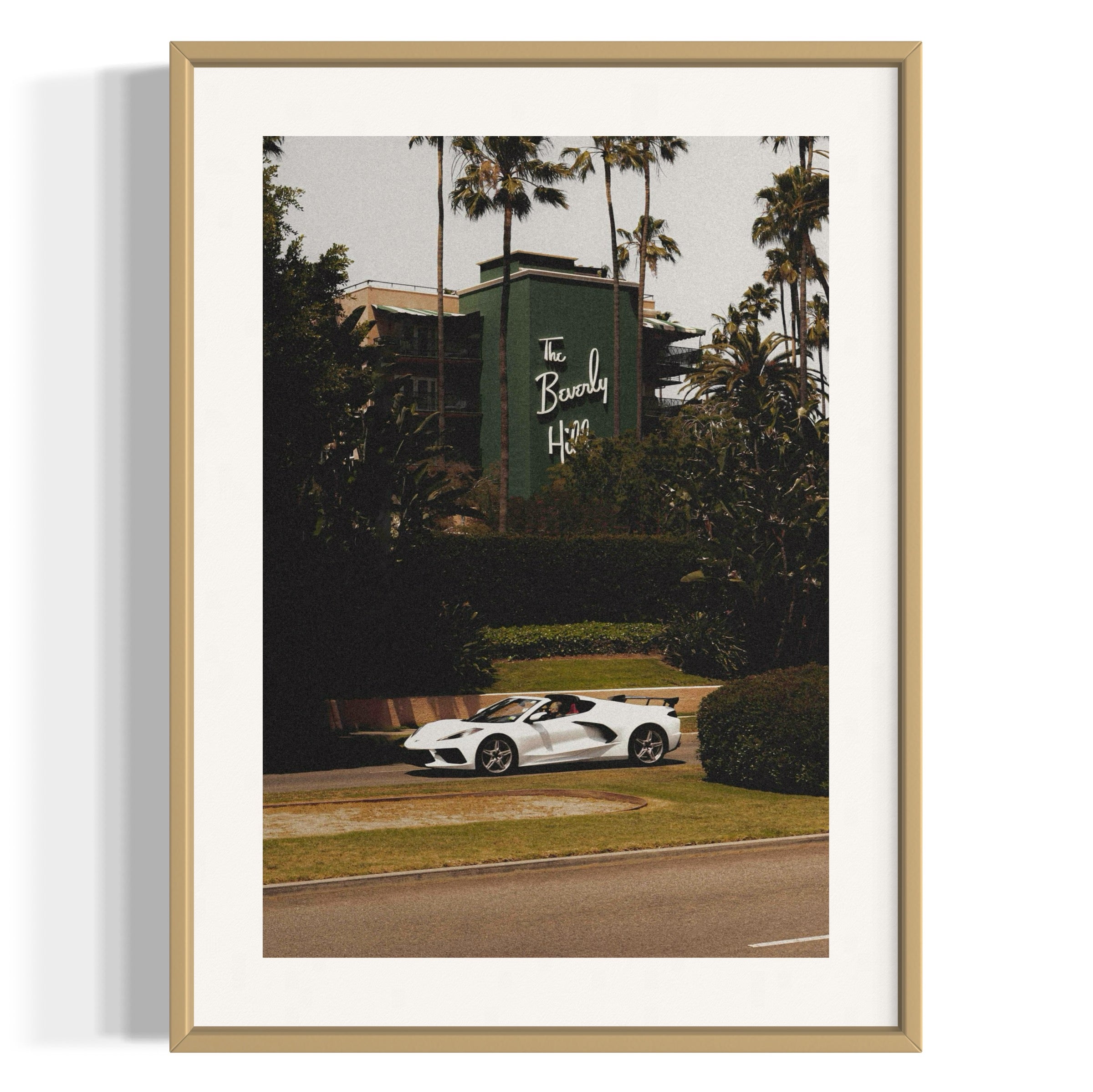 The Beverly Hills - Wall of Venus