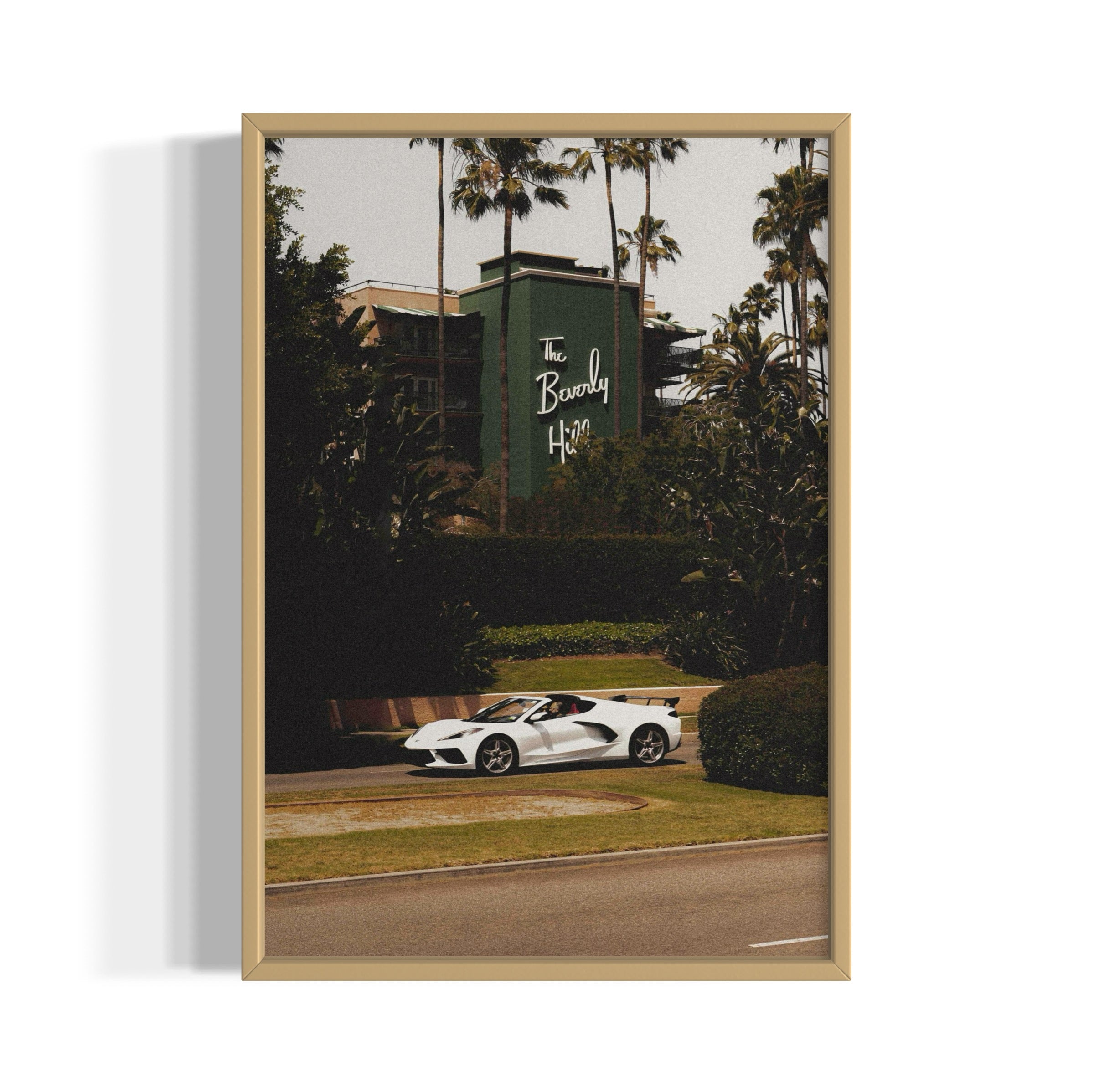 The Beverly Hills - Wall of Venus