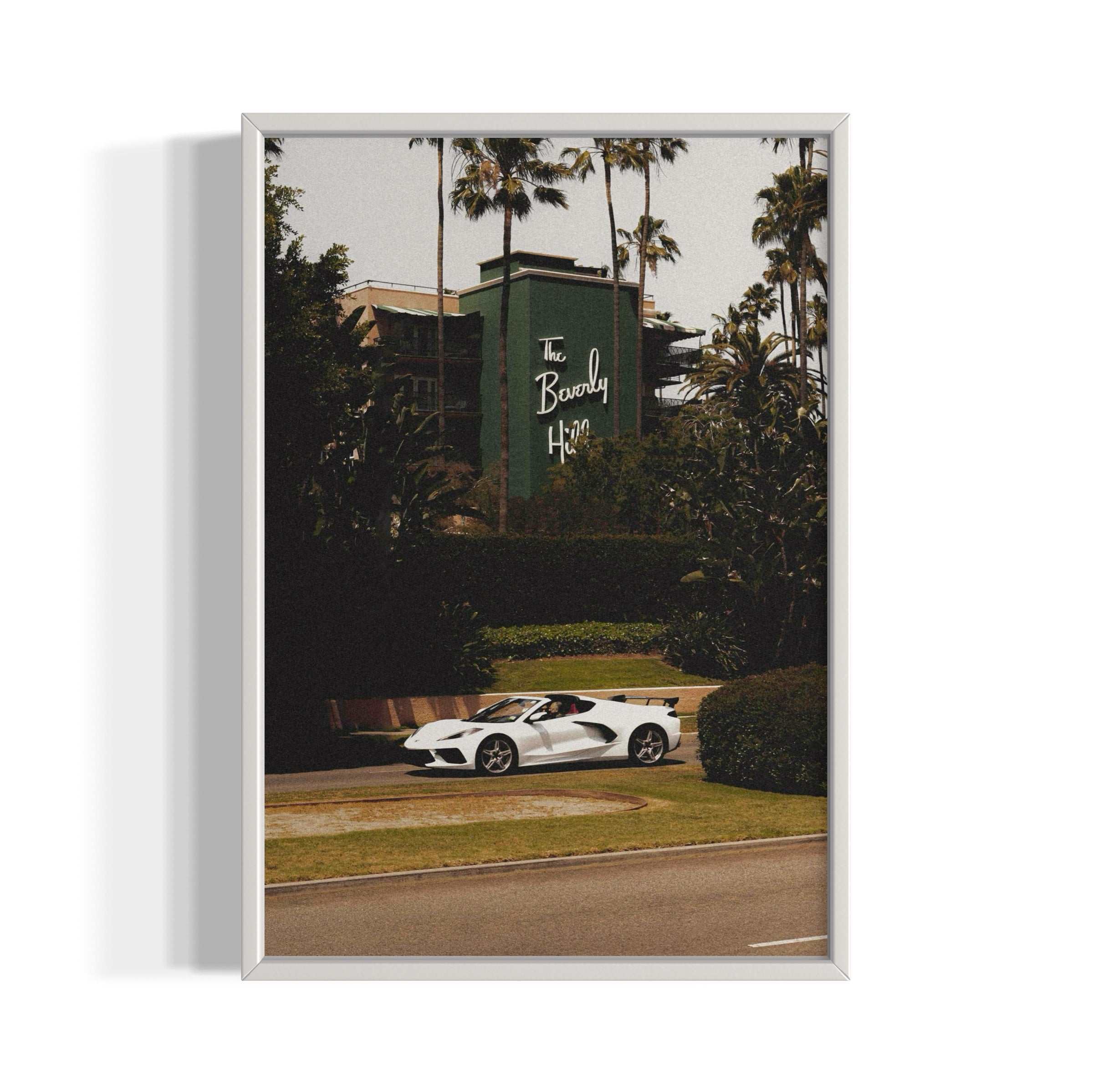 The Beverly Hills - Wall of Venus