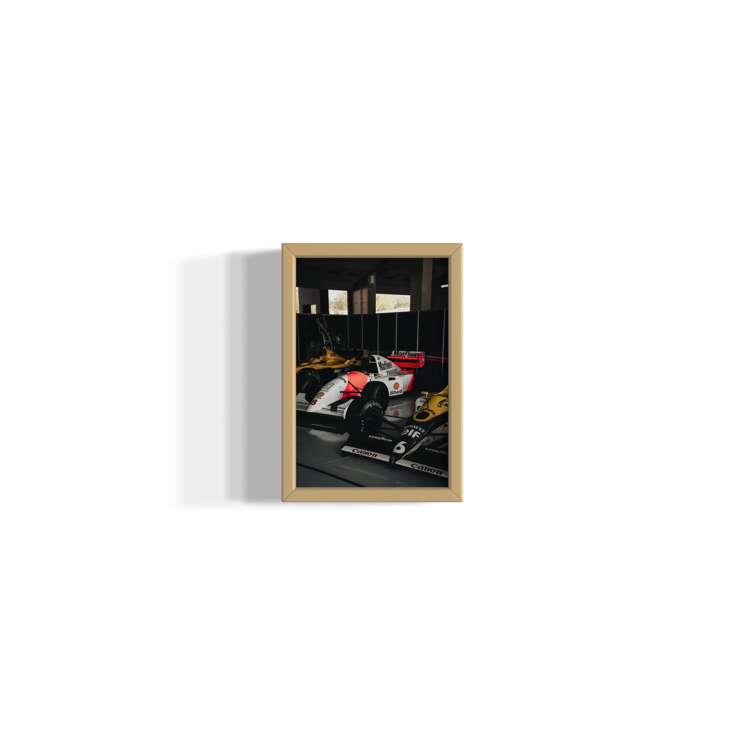 Old Ladies - Wall of Venus