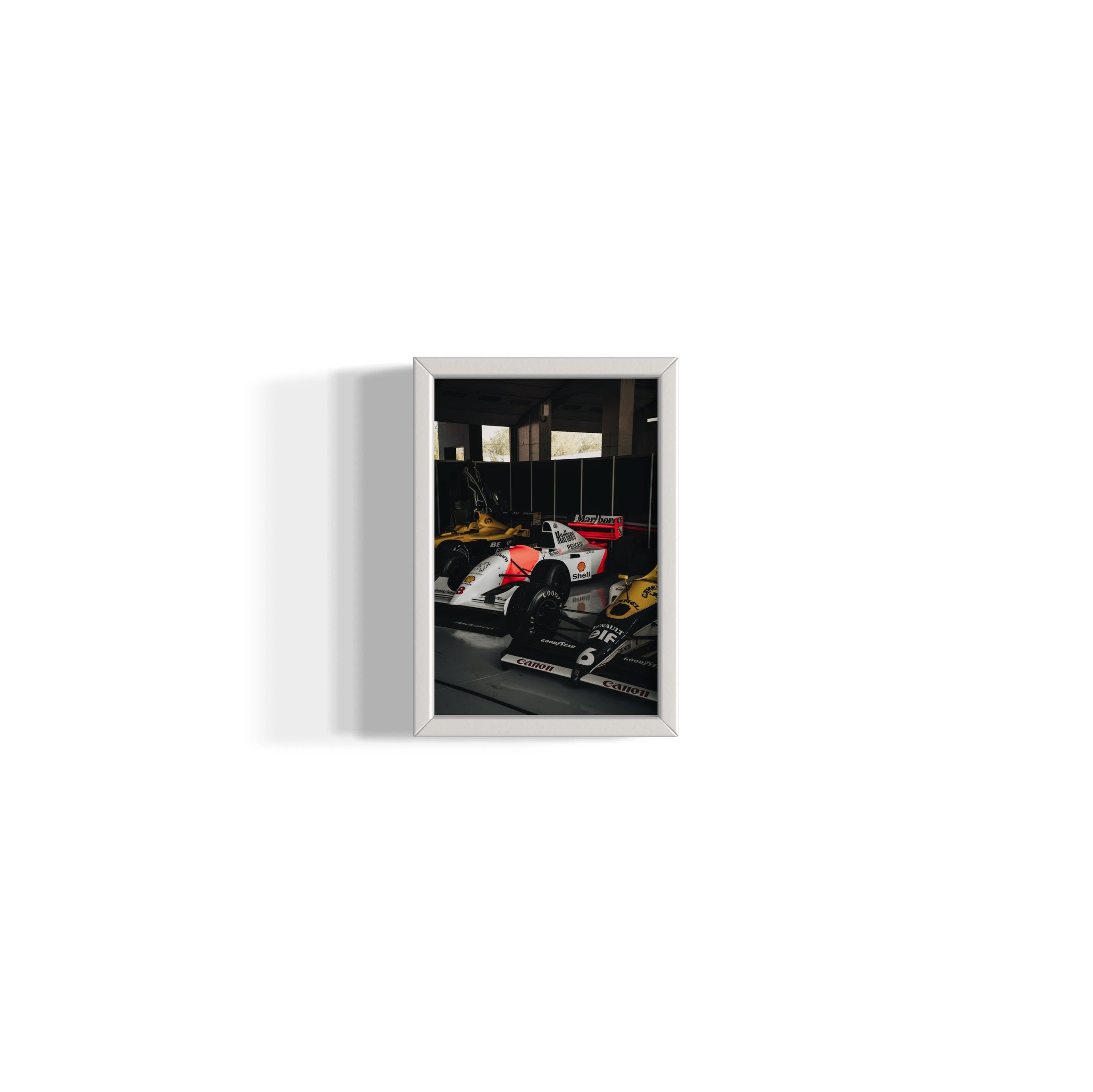 Old Ladies - Wall of Venus