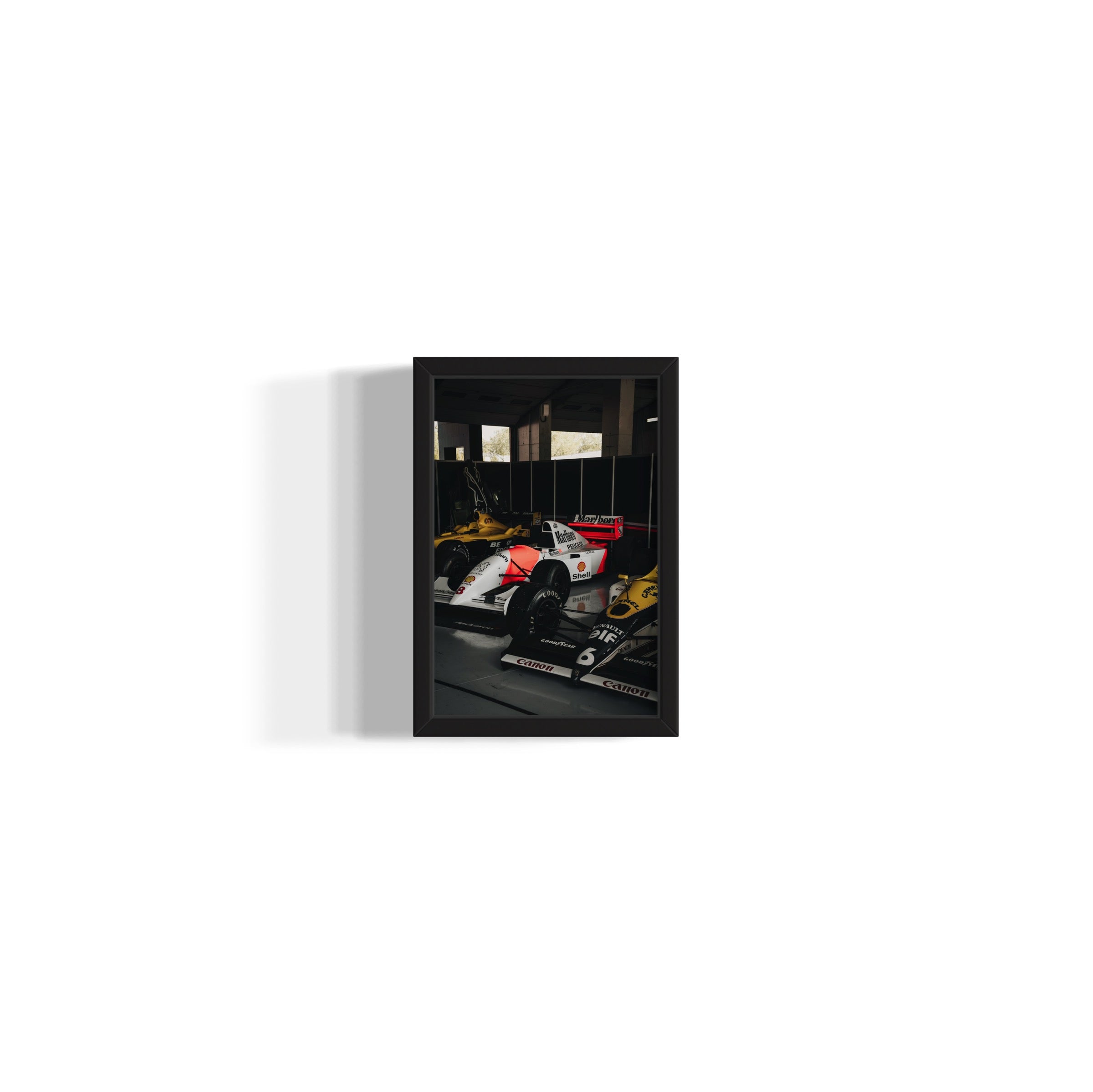 Old Ladies - Wall of Venus