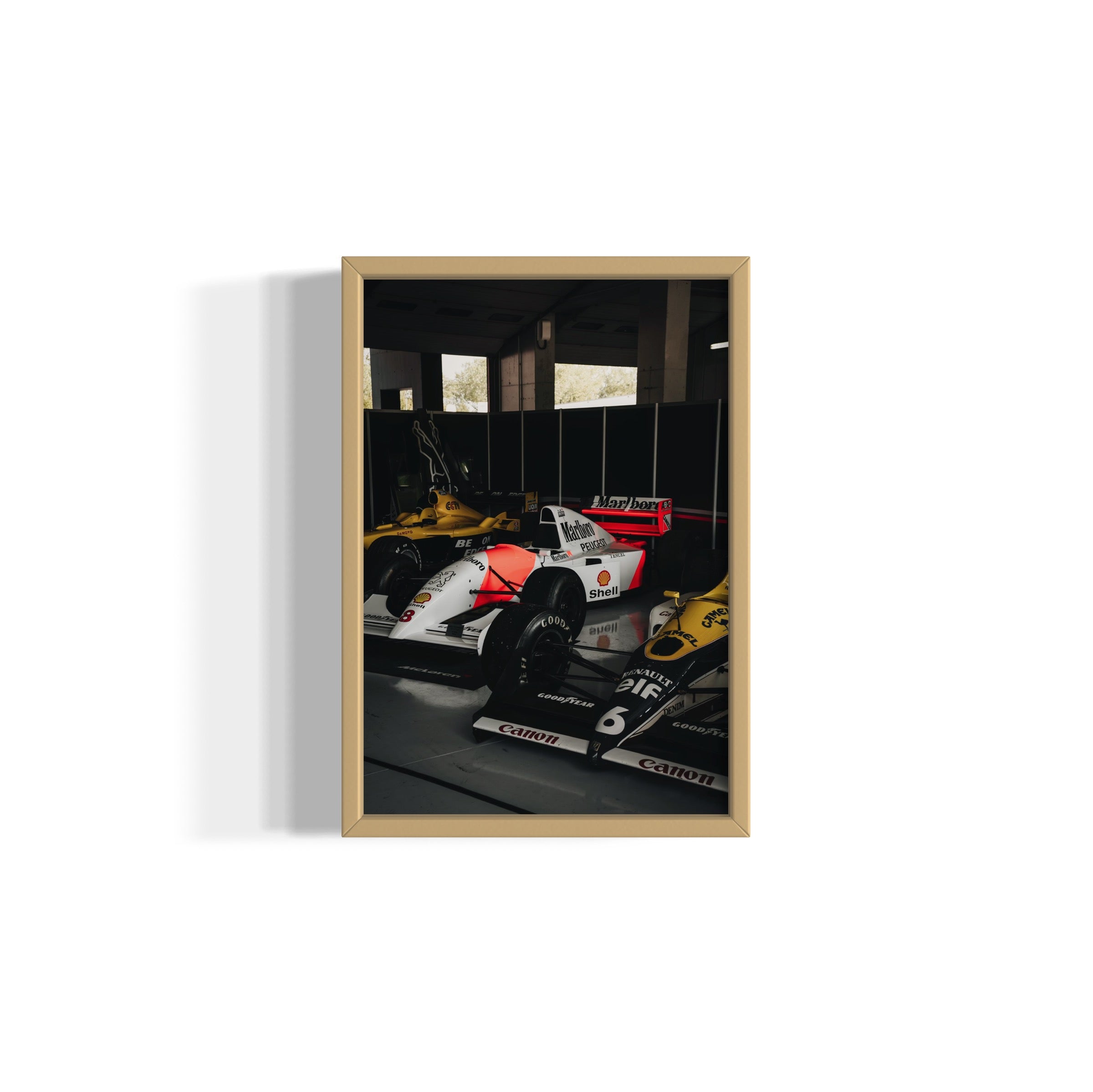 Old Ladies - Wall of Venus