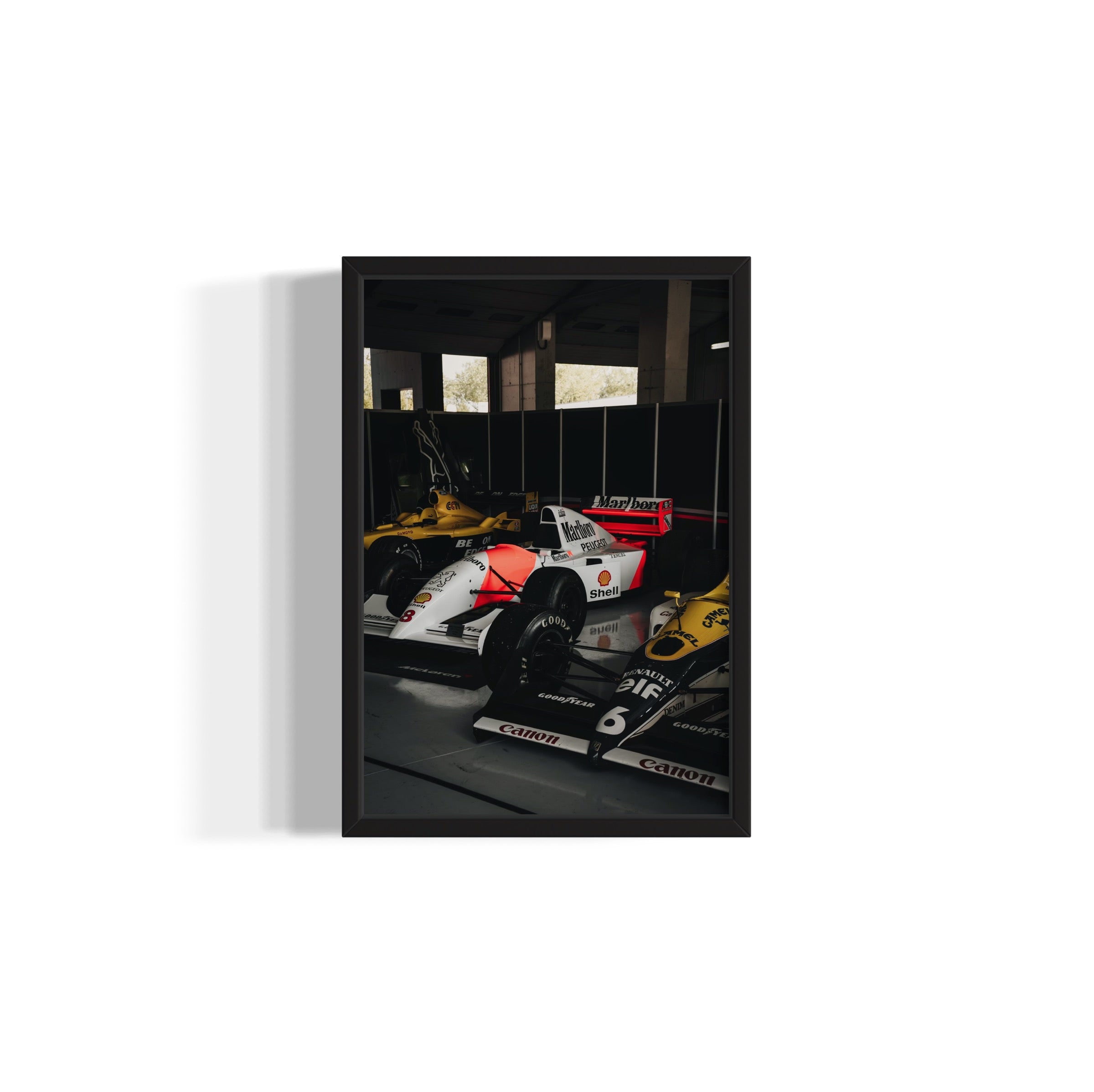 Old Ladies - Wall of Venus