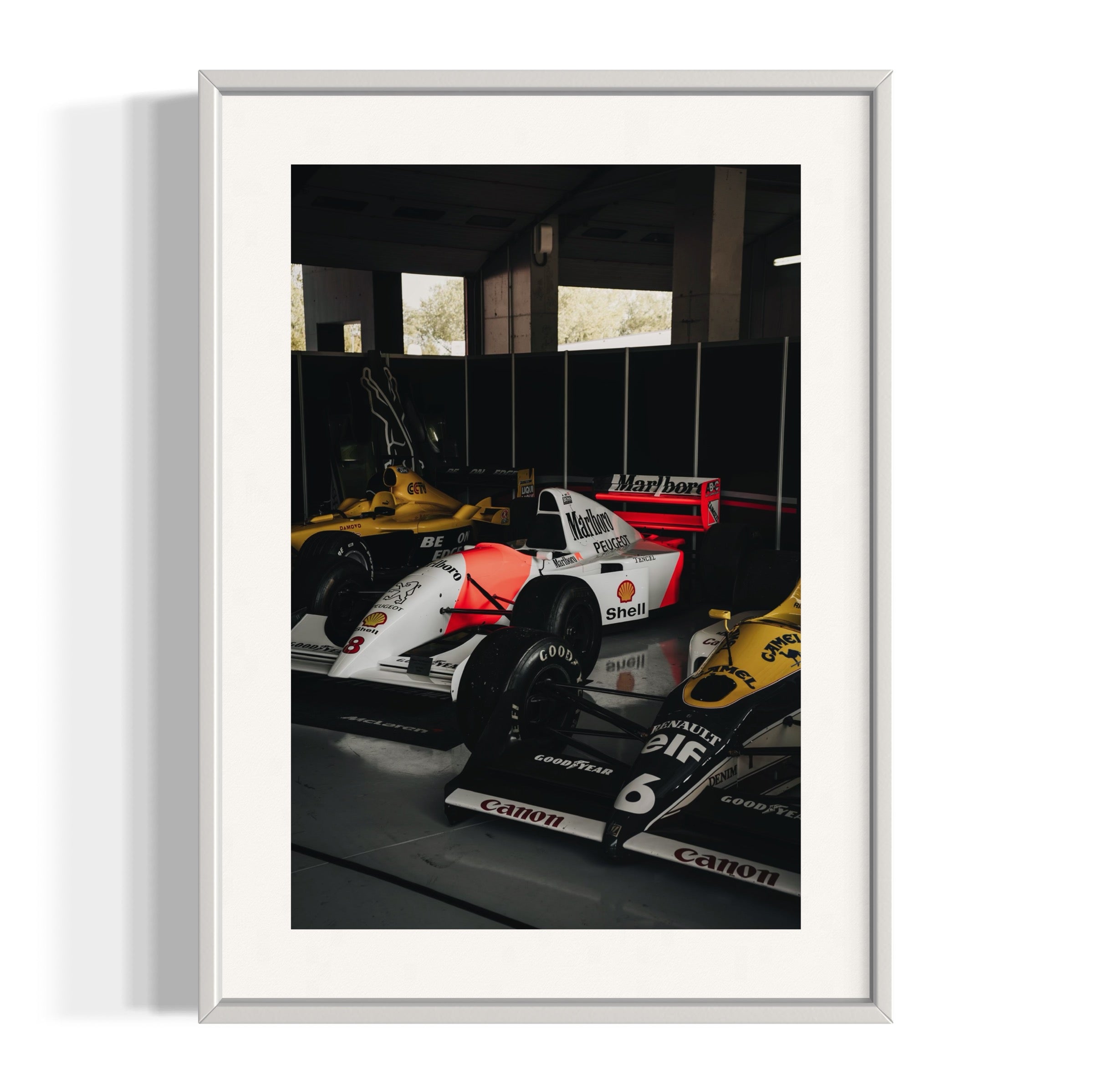 Old Ladies - Wall of Venus