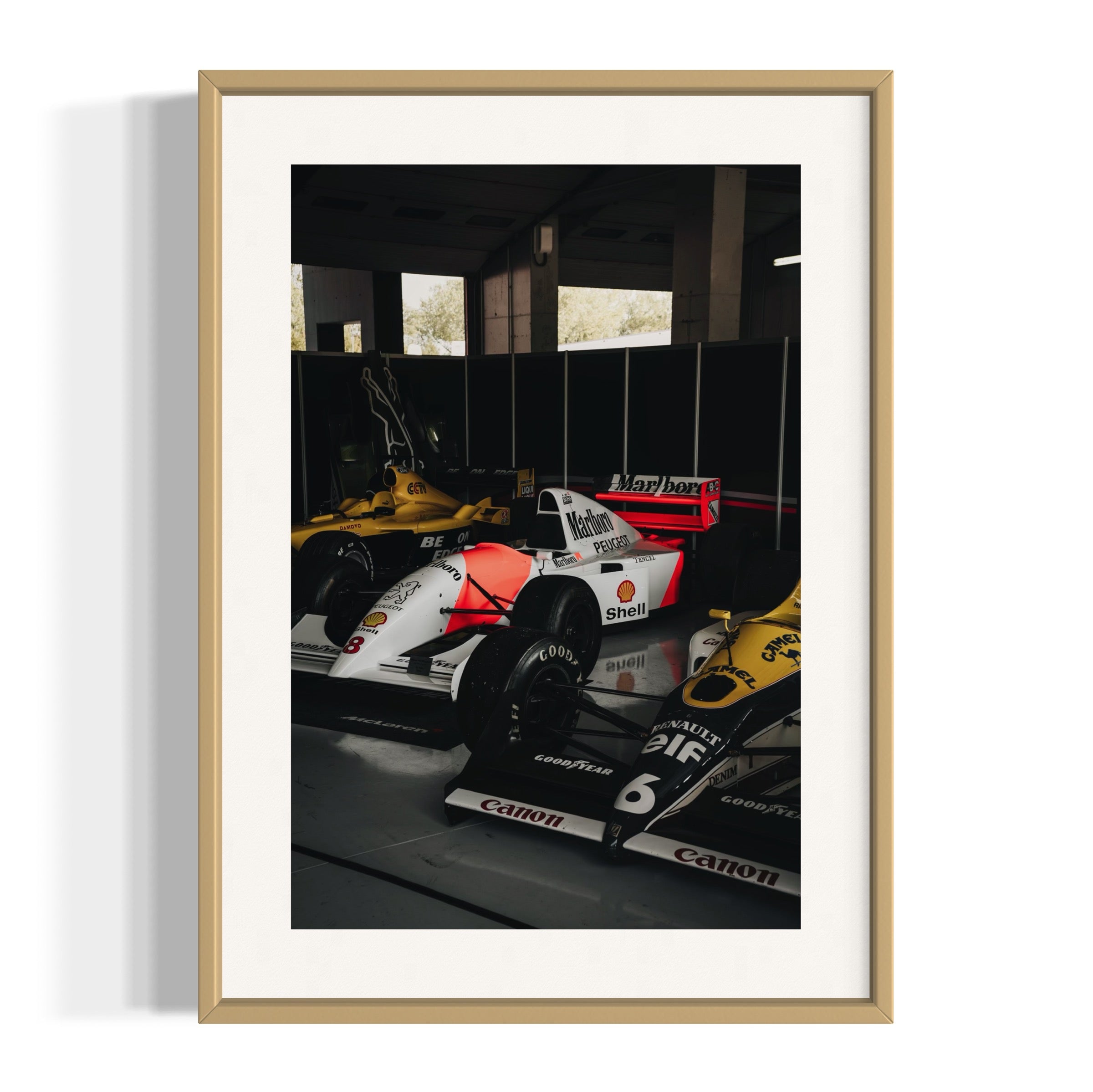 Old Ladies - Wall of Venus