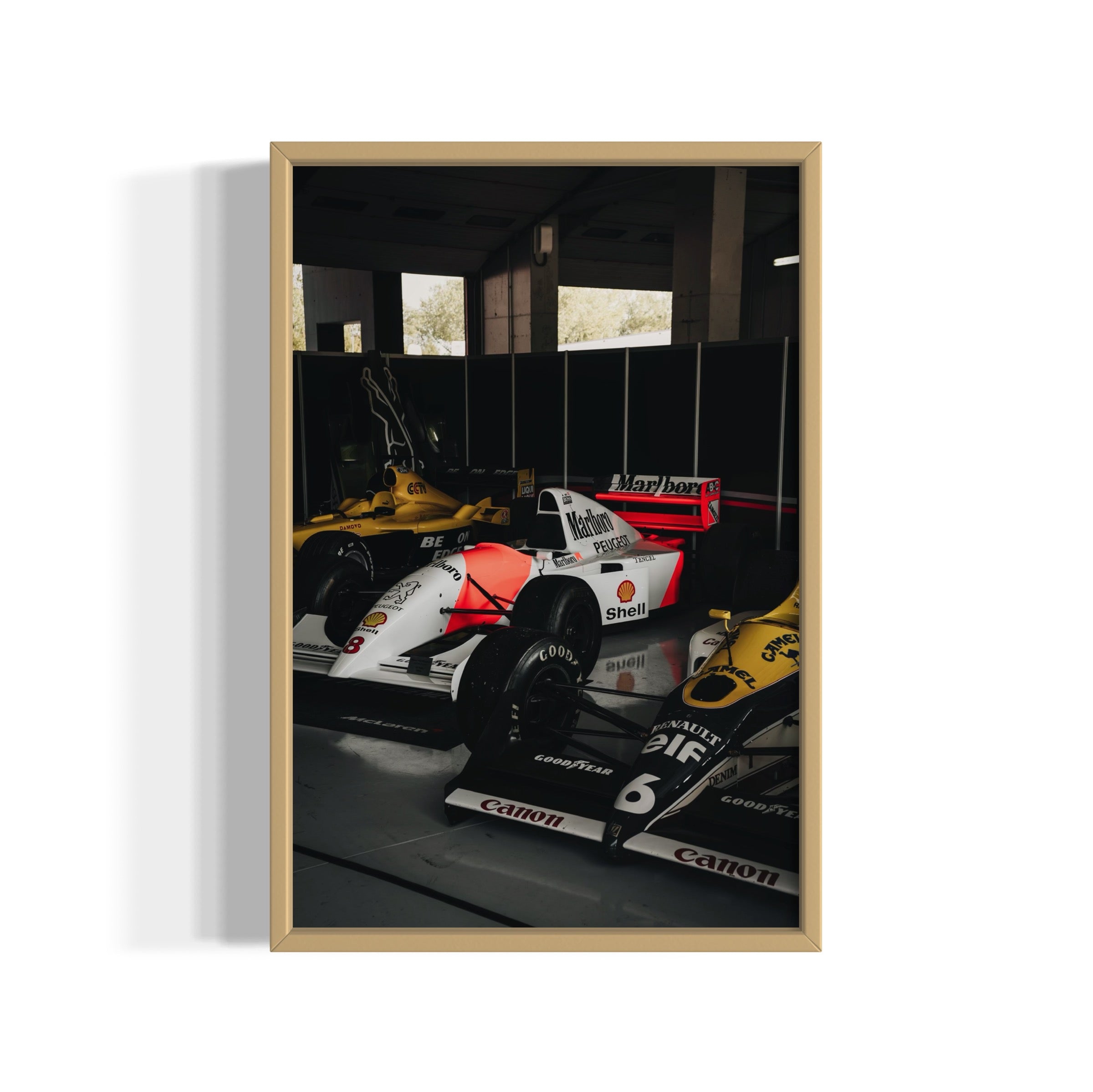 Old Ladies - Wall of Venus