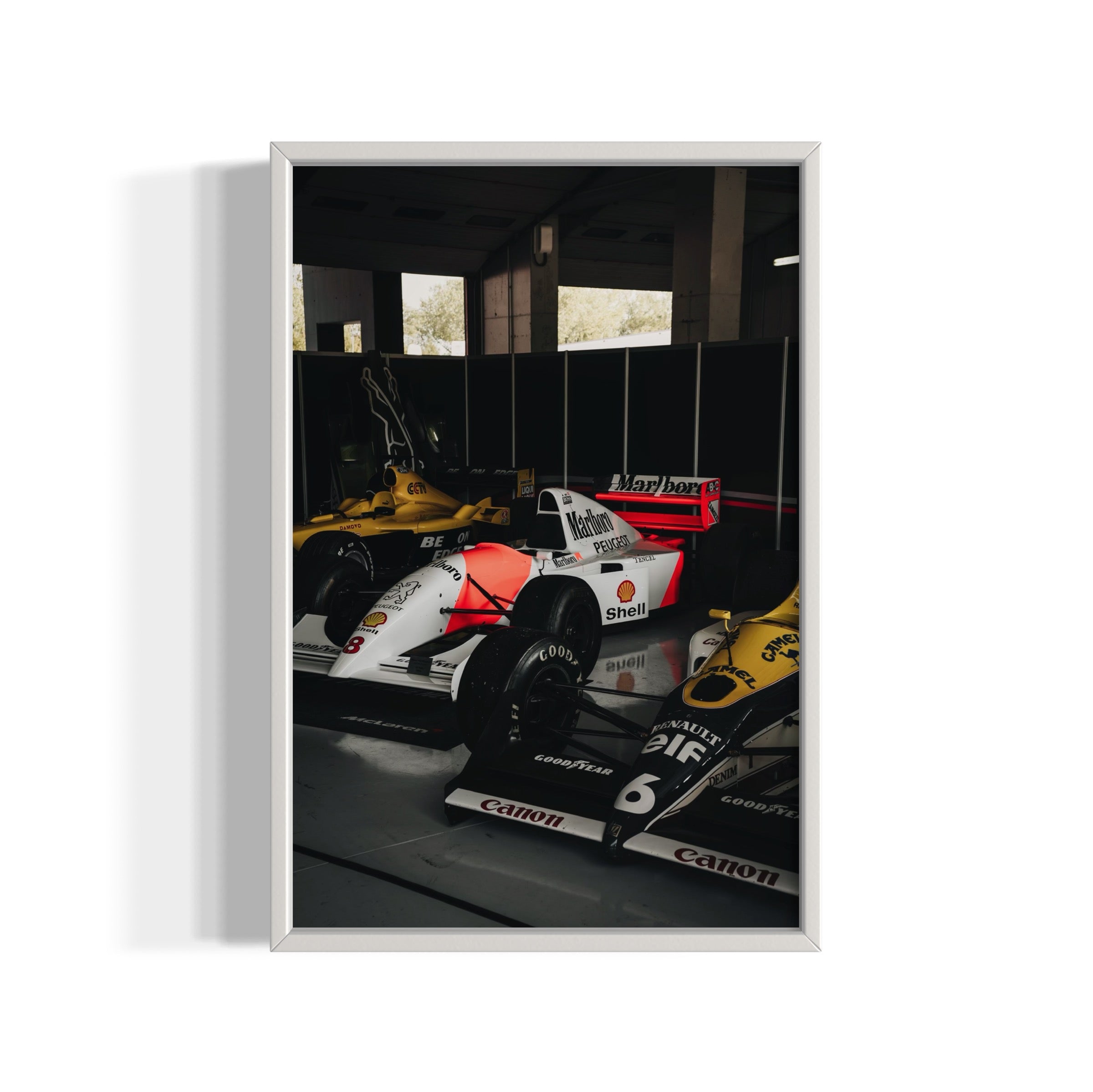 Old Ladies - Wall of Venus