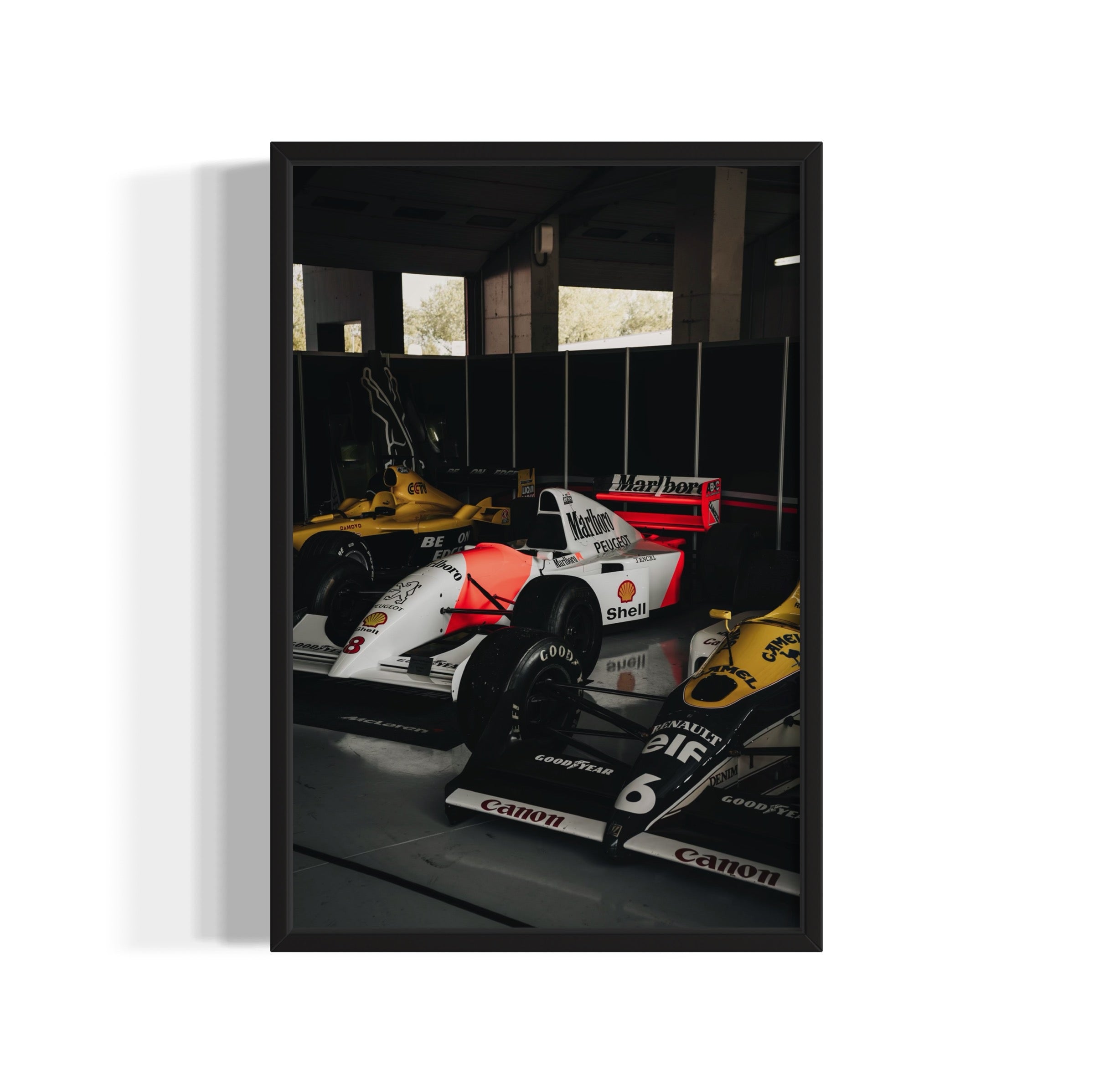 Old Ladies - Wall of Venus