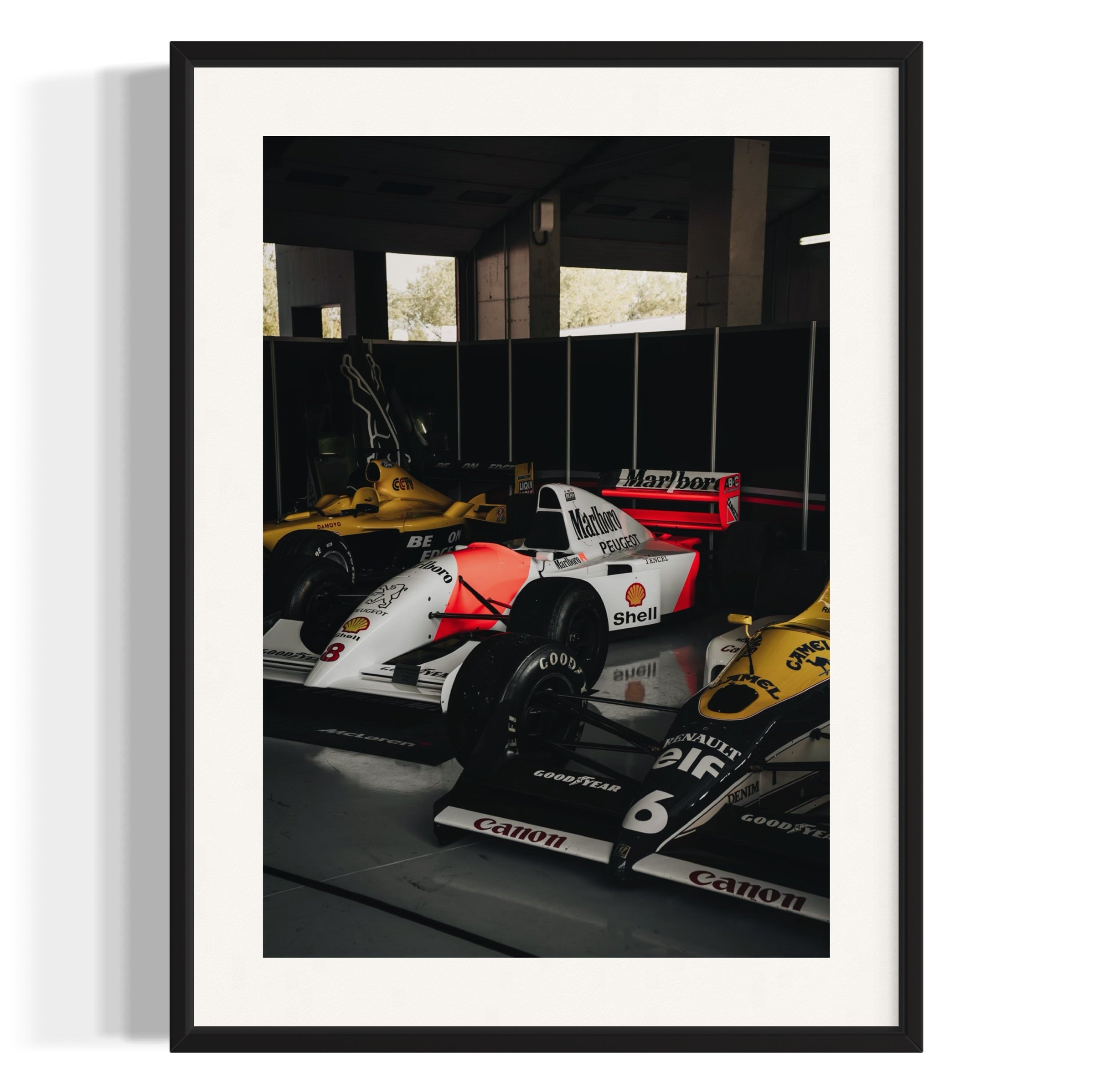 Old Ladies - Wall of Venus