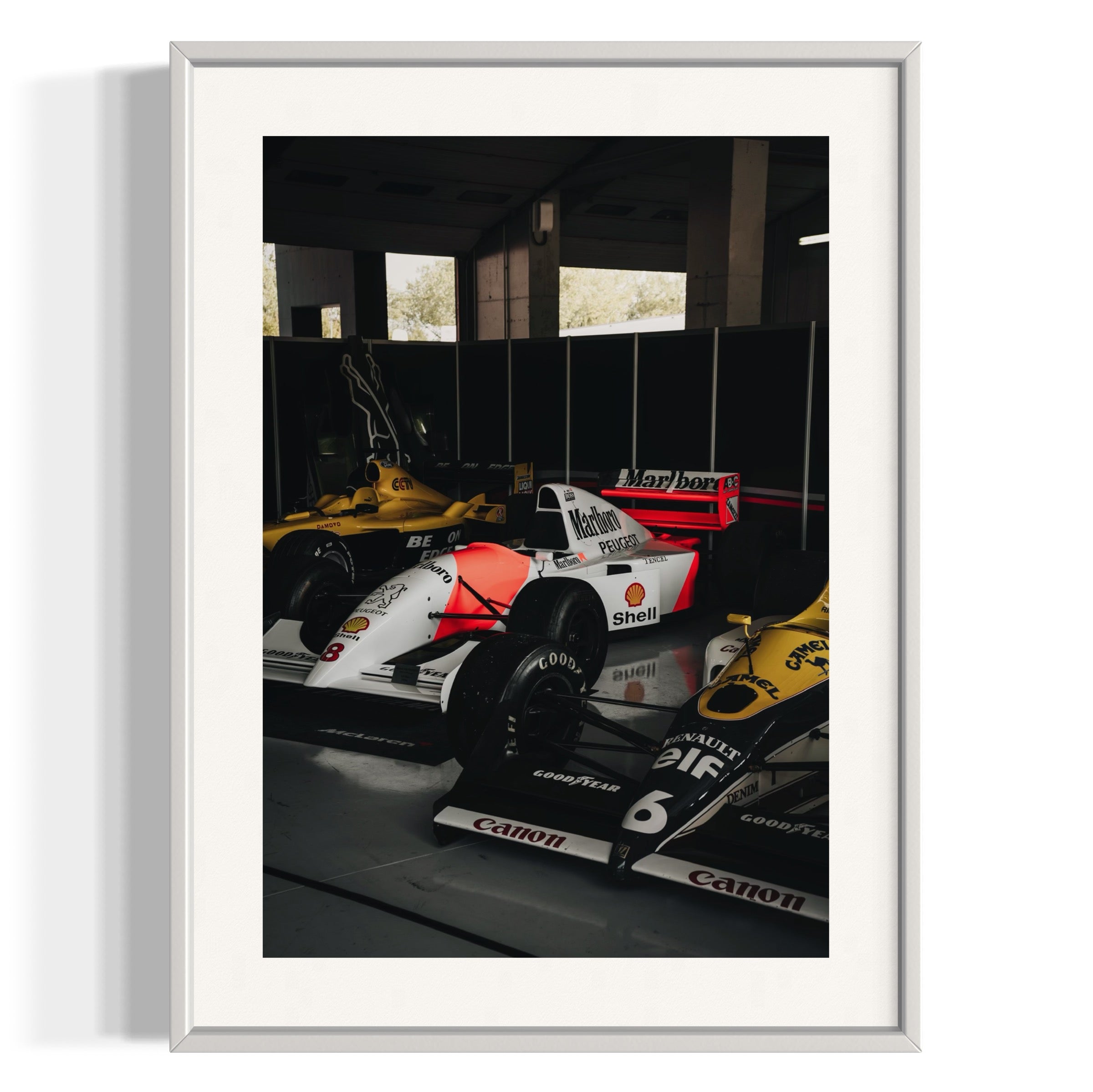 Old Ladies - Wall of Venus