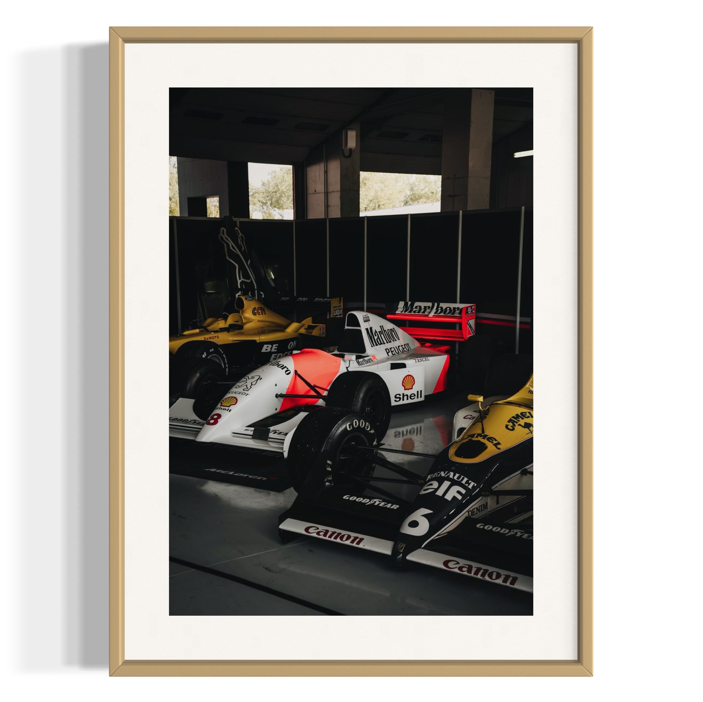 Old Ladies - Wall of Venus