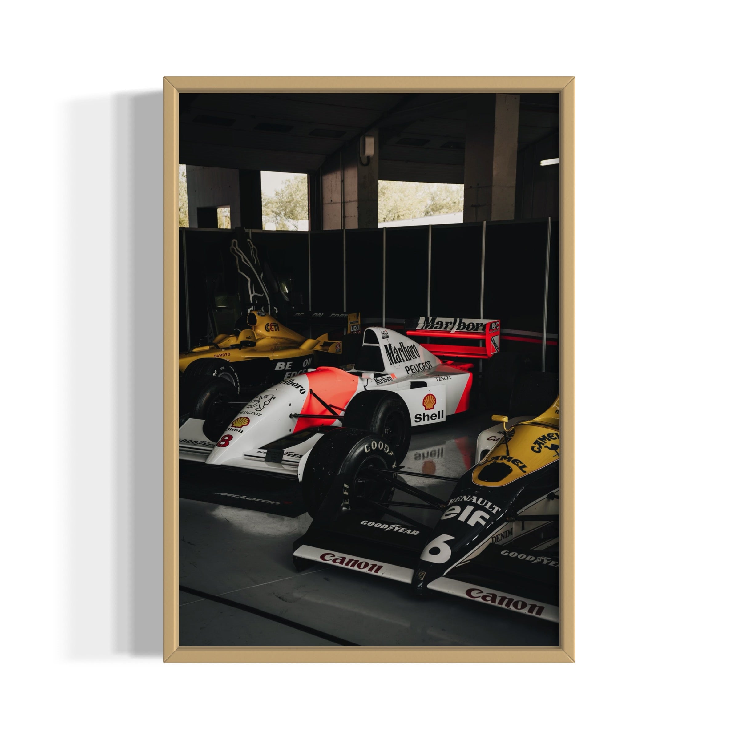 Old Ladies - Wall of Venus